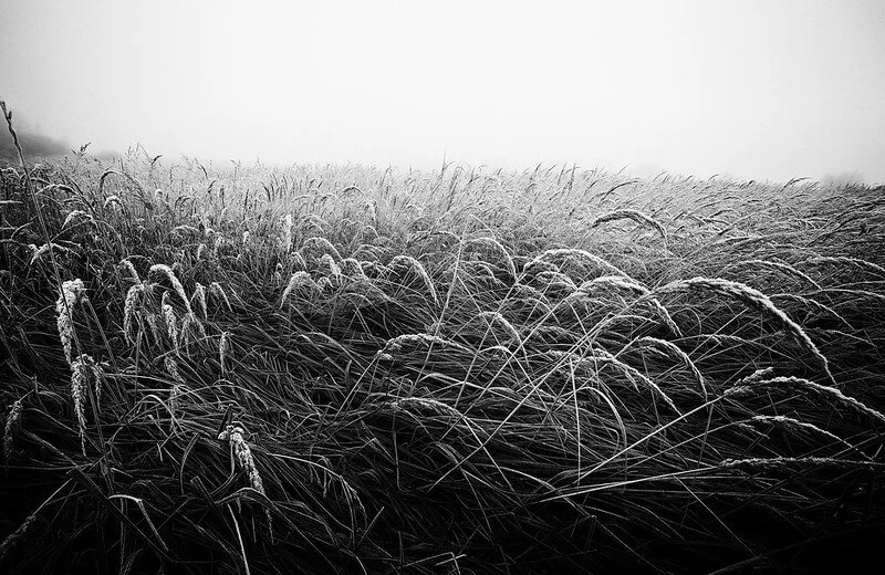 Photo credit: Nick Tkachev - under Creative Commons license