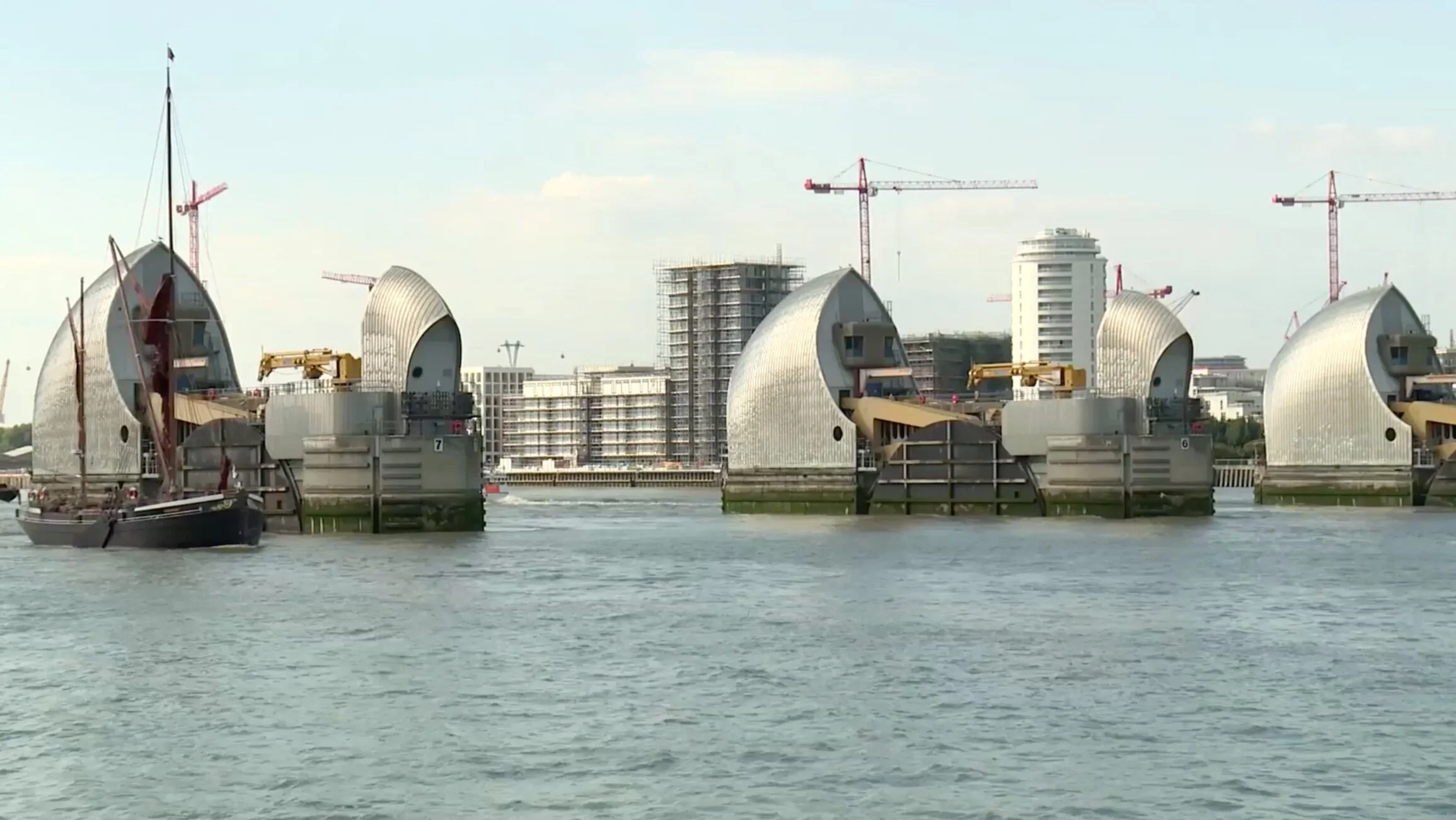 Source: Still from The Living Thames - courtesy of Thames Estuary Partnership