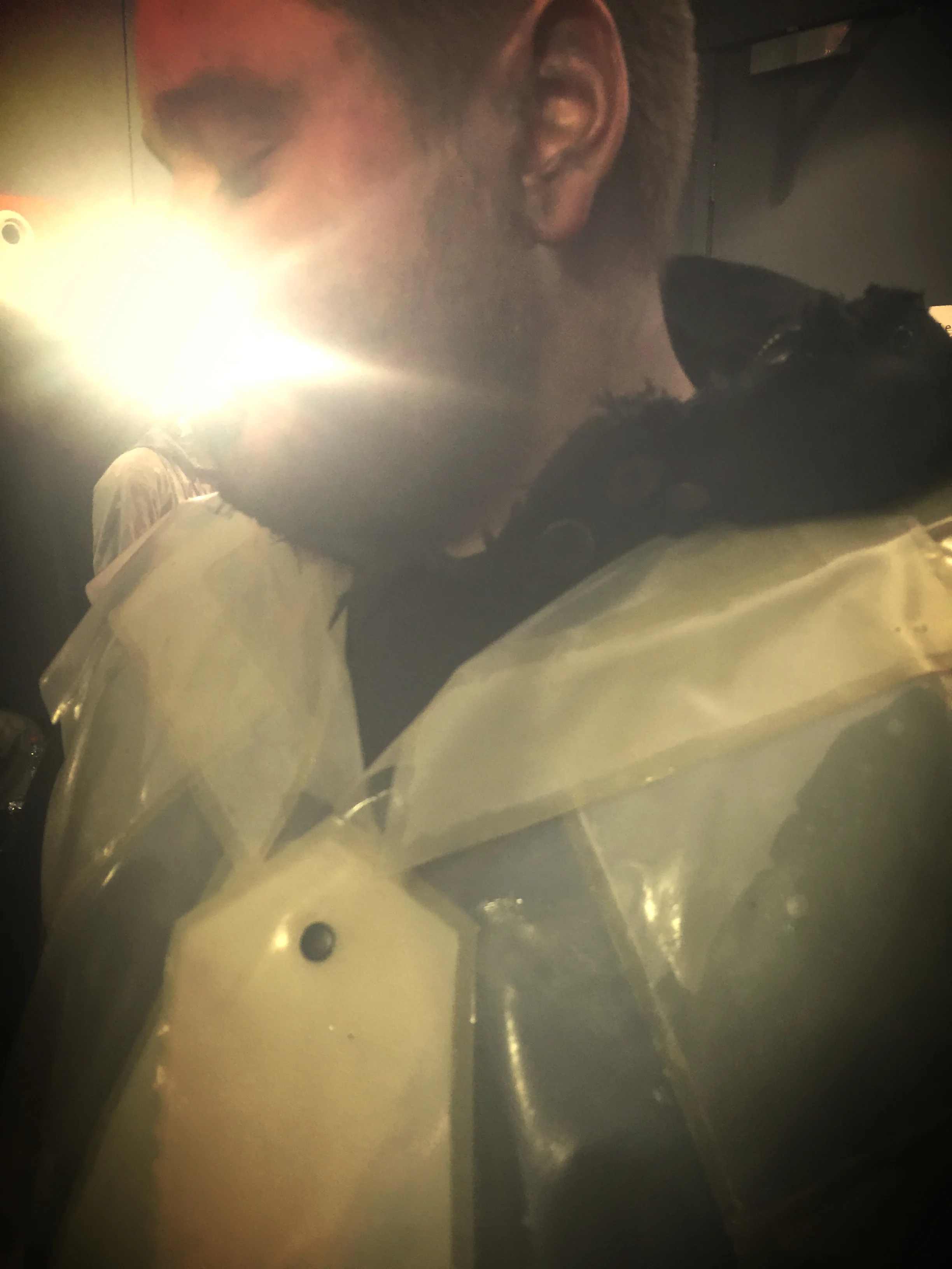 image13.jpeg