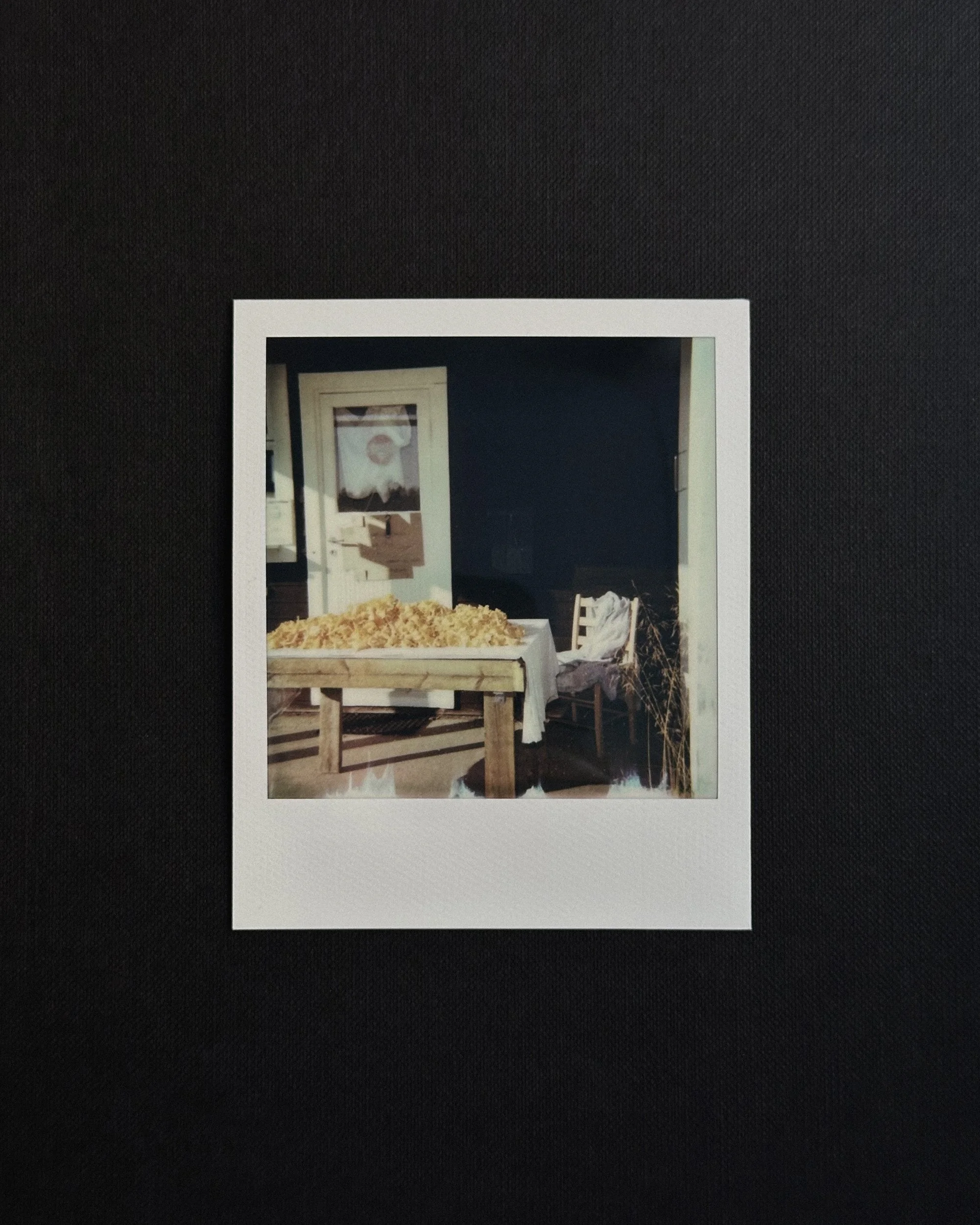  Wilderness Road in Sweden for  Kinfolk Journeys . 