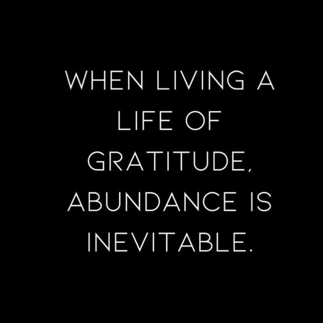 &quot;When living a life of gratitude, abundance is inevitable.&quot;