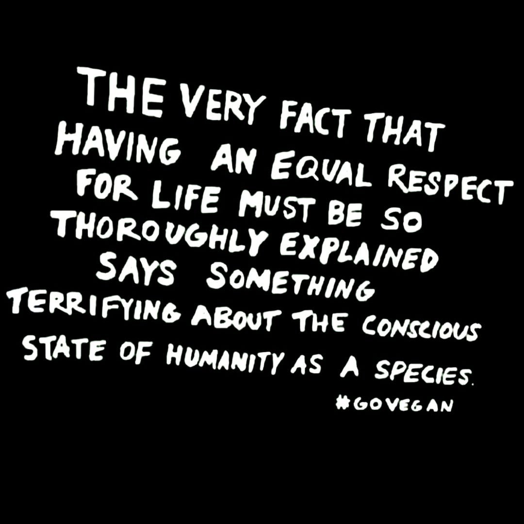 &quot;The very fact that having an equal respect for life must be so thoroughly explained says something terrifying about the conscious state of humanity as a species.&quot;

- #govegan