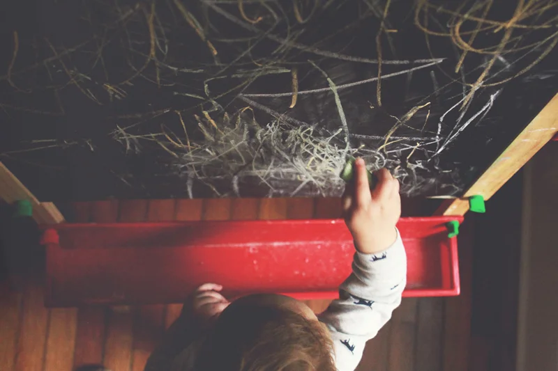 parker_chalk_jan16_web.jpg