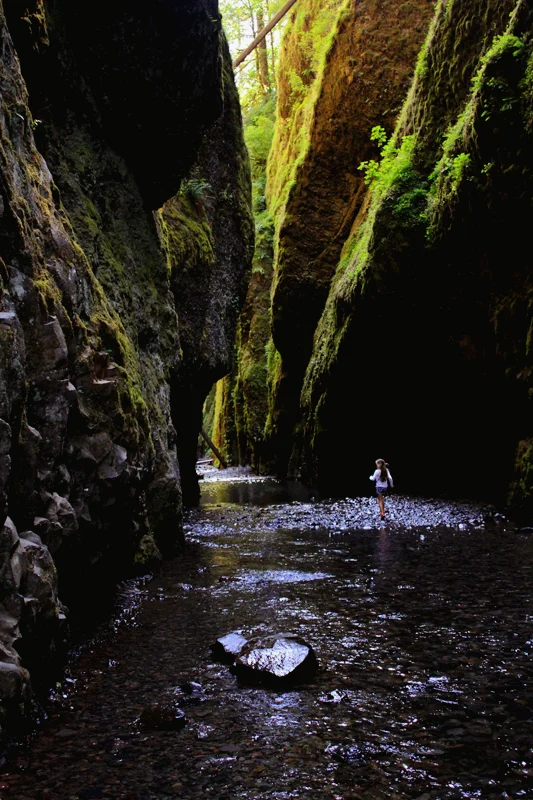 oregon_gorge1_web.jpg