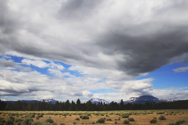 oregon8_web.jpg