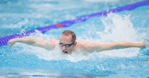 dave_warren_butterfly-489x258.jpg