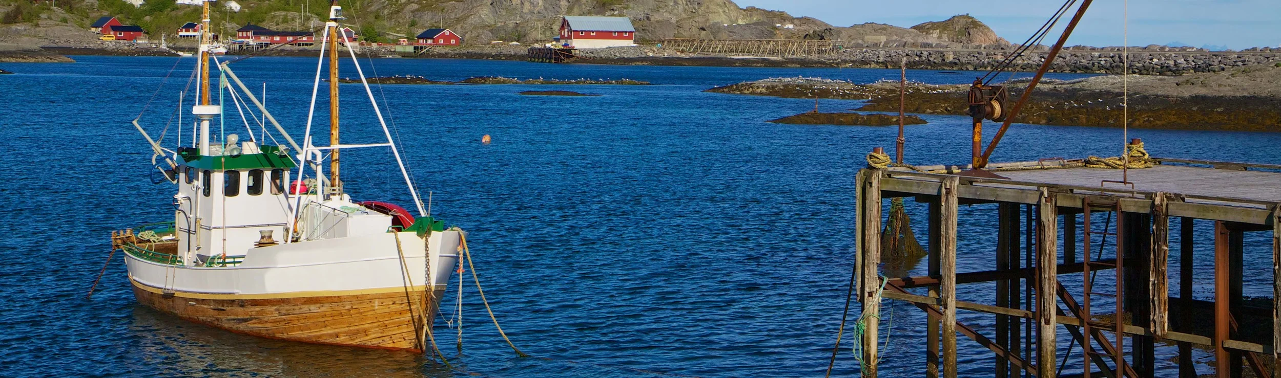 fishingwesselnorwaycut.jpg