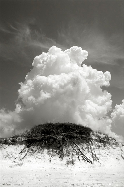 Richard Sexton, Ascension, Quadtone pigment print