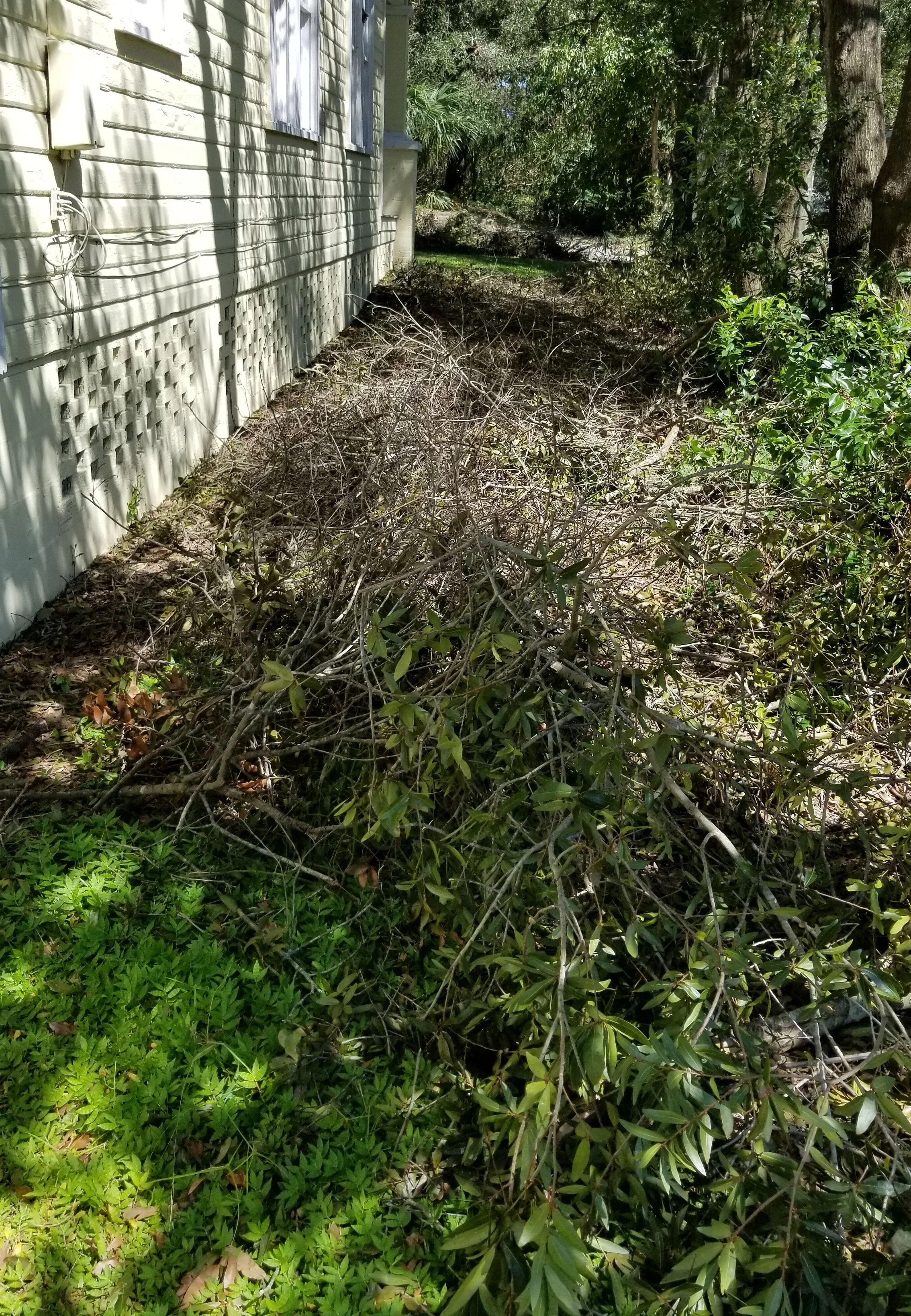 The storm blew every dead stick, limb and branch from the trees down on The side of my house before My next door NEIGHBOR and her DAUGHTER cleaned it up for me while I was living in the MUSEUM. It is Nice To Have Good Neighbors! 