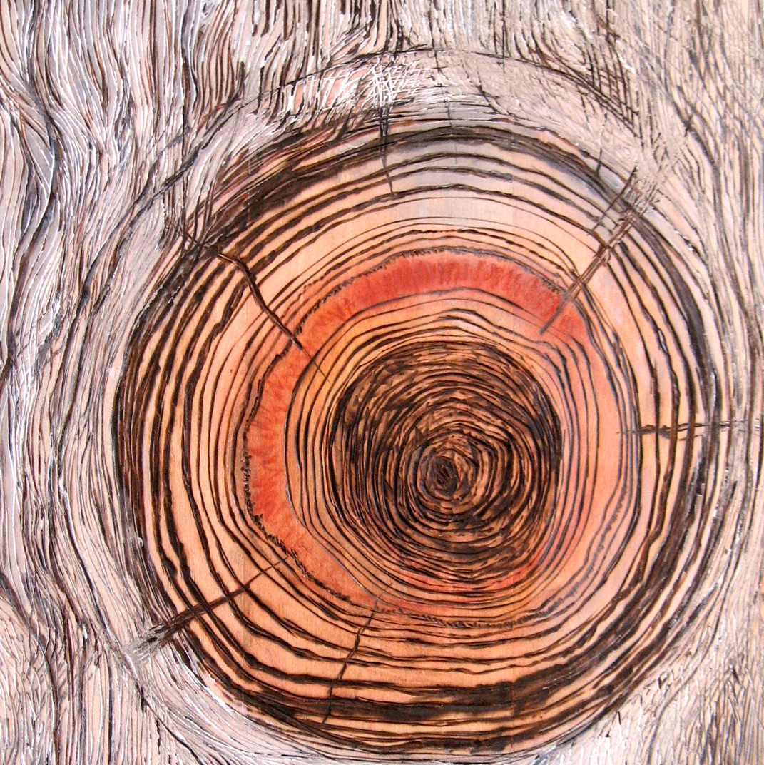 Pyrography Workshop