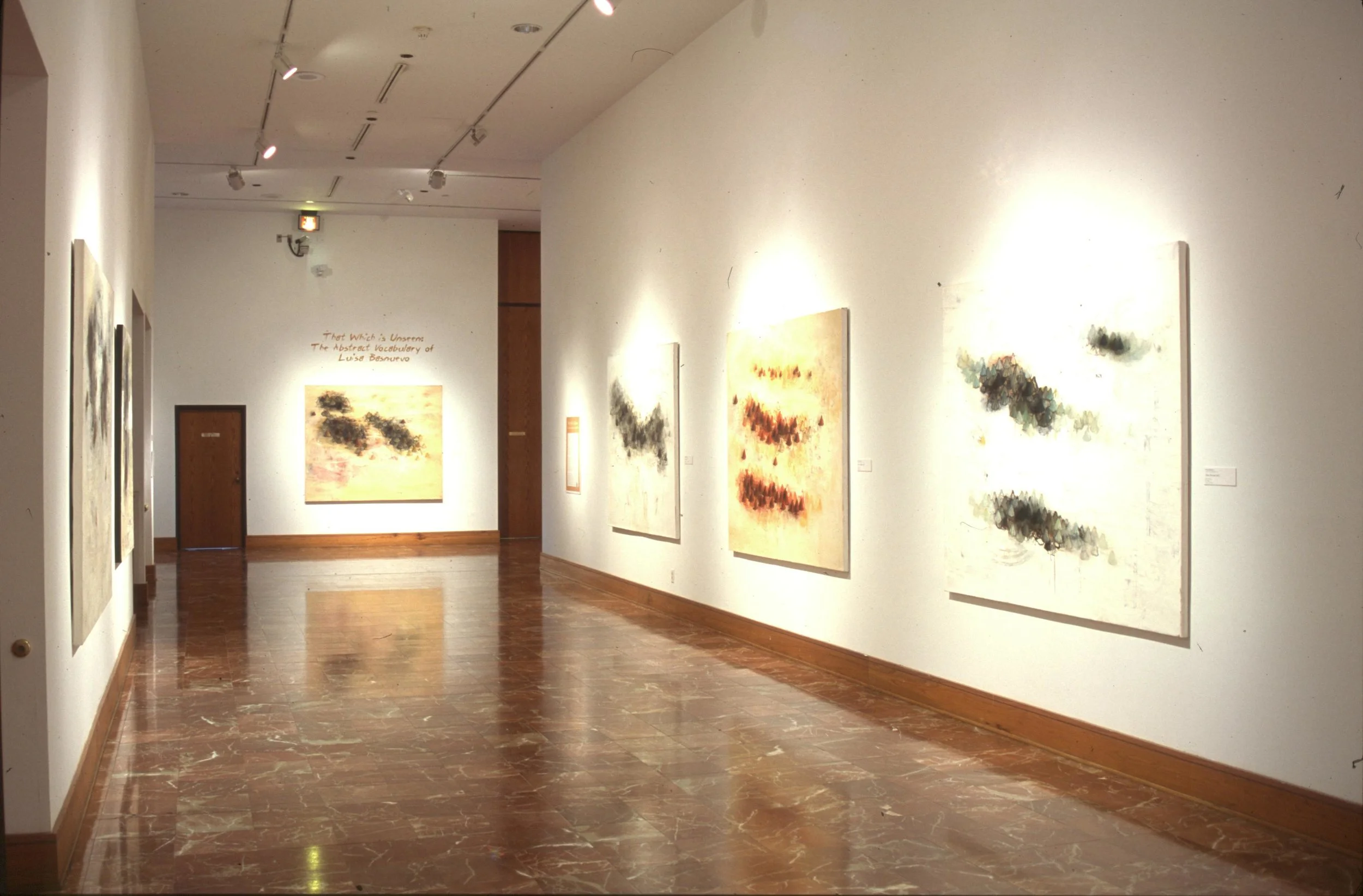 Luisa Basnuevo: That Which is Unseen