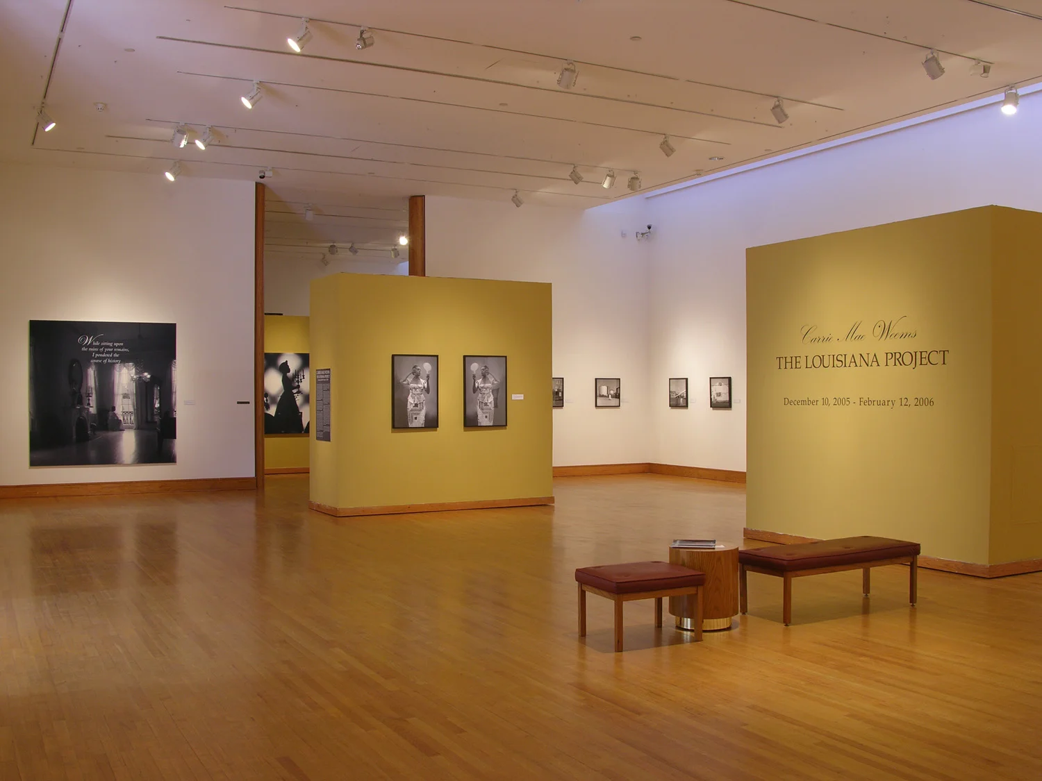 Carrie Mae Weems: The Louisiana Project