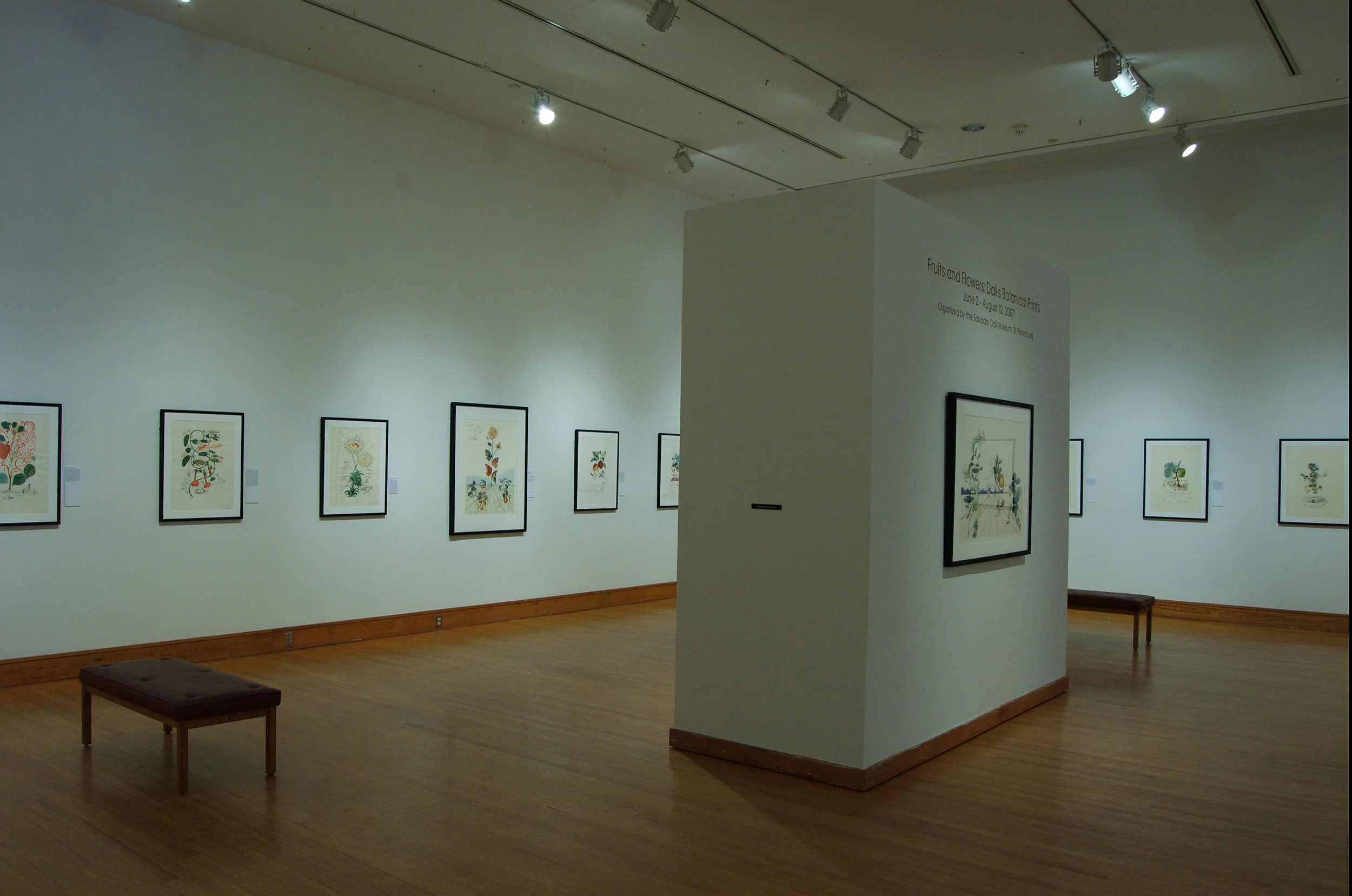 Fruits and Flowers: Dalí's Botanical Prints