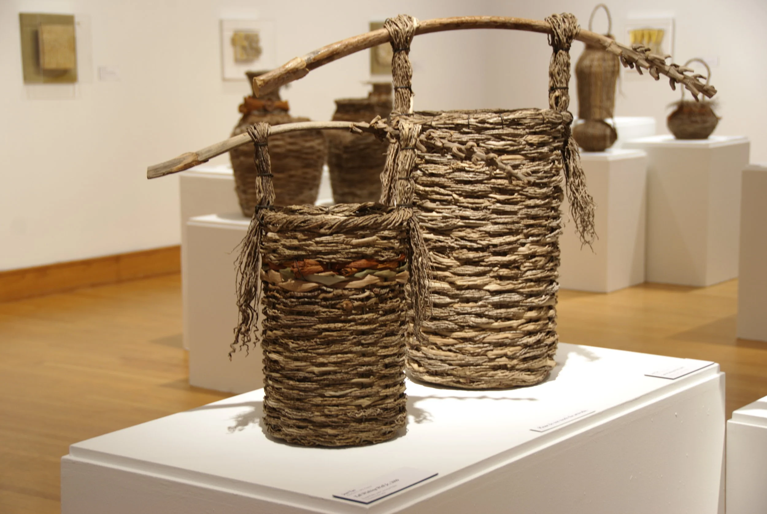 All Natural: Organic Forms by Akiko Sugiyama and Jean Yao, 2009.