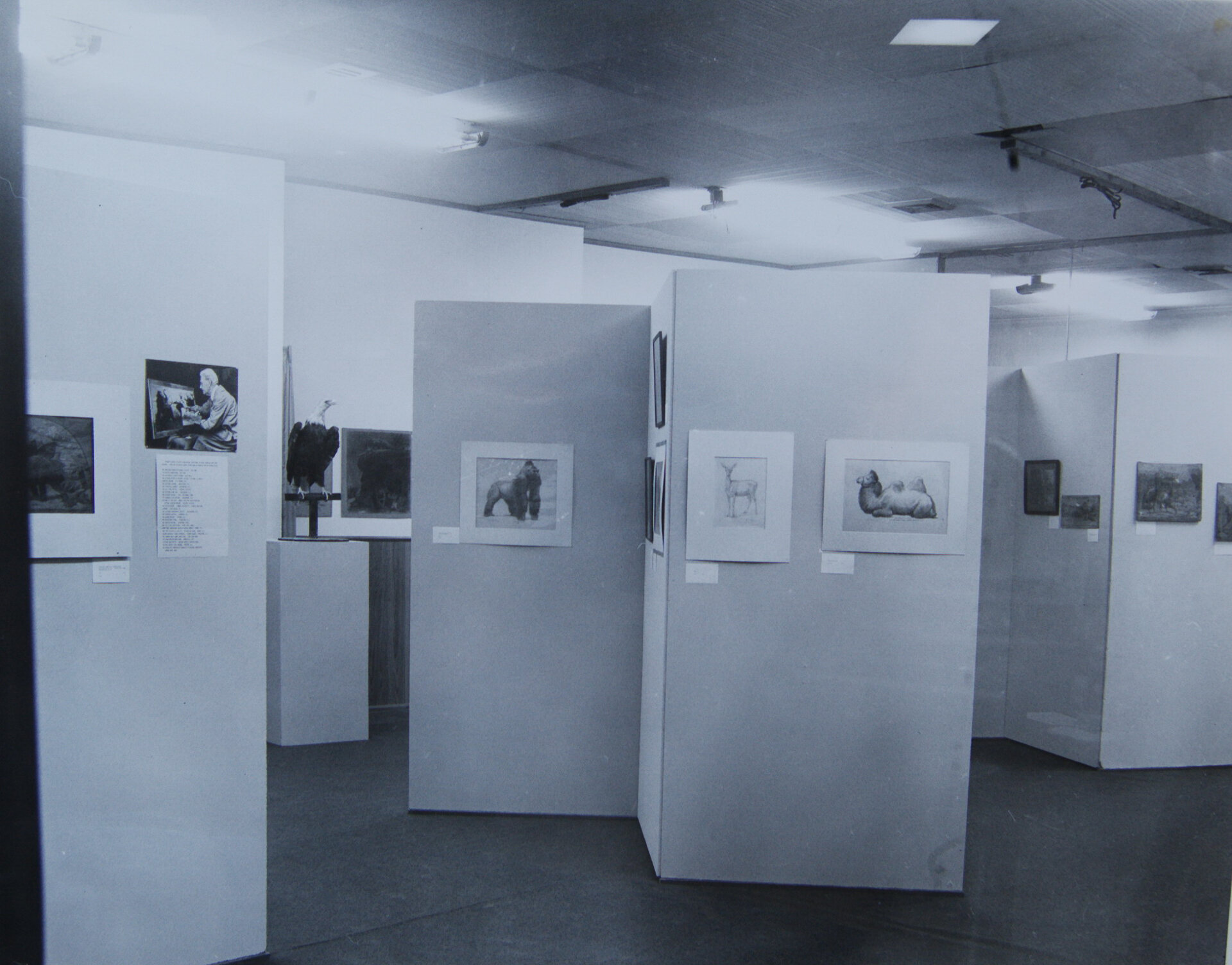  Take a look inside our galleries in the year 1970!  