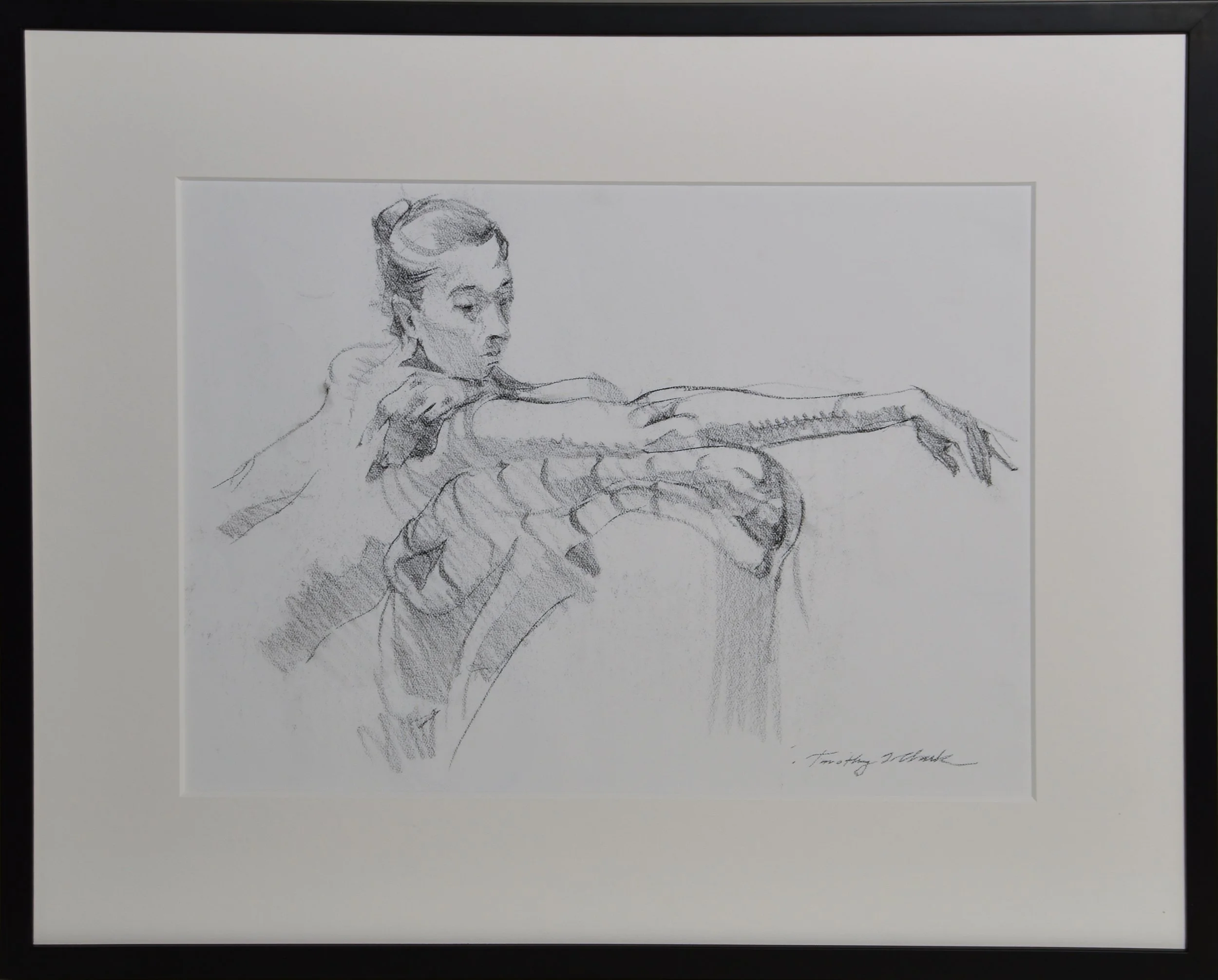 Horizontal Model with Extended Arm