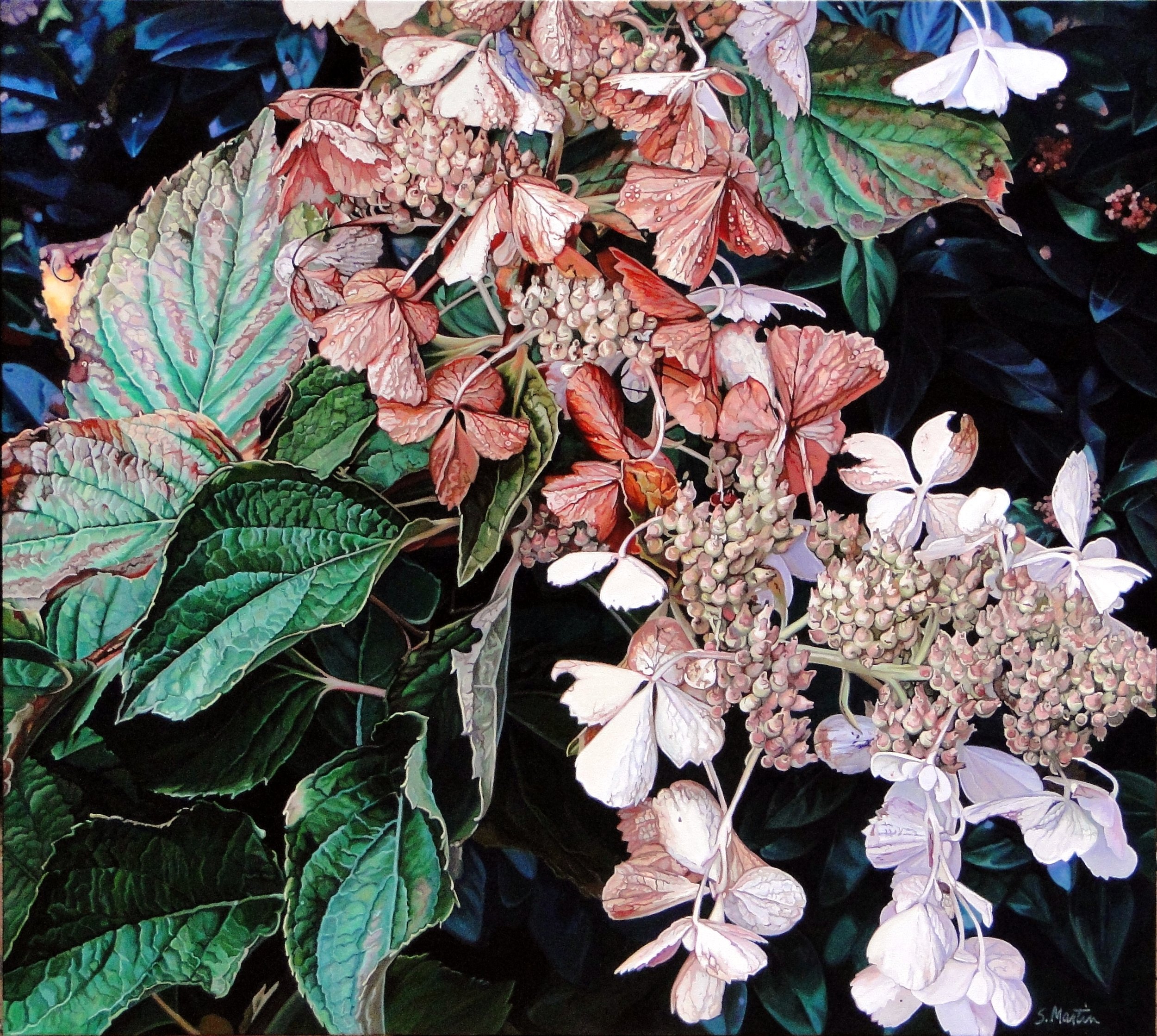 Efflorescence: The Botanical Paintings of Susan Martin