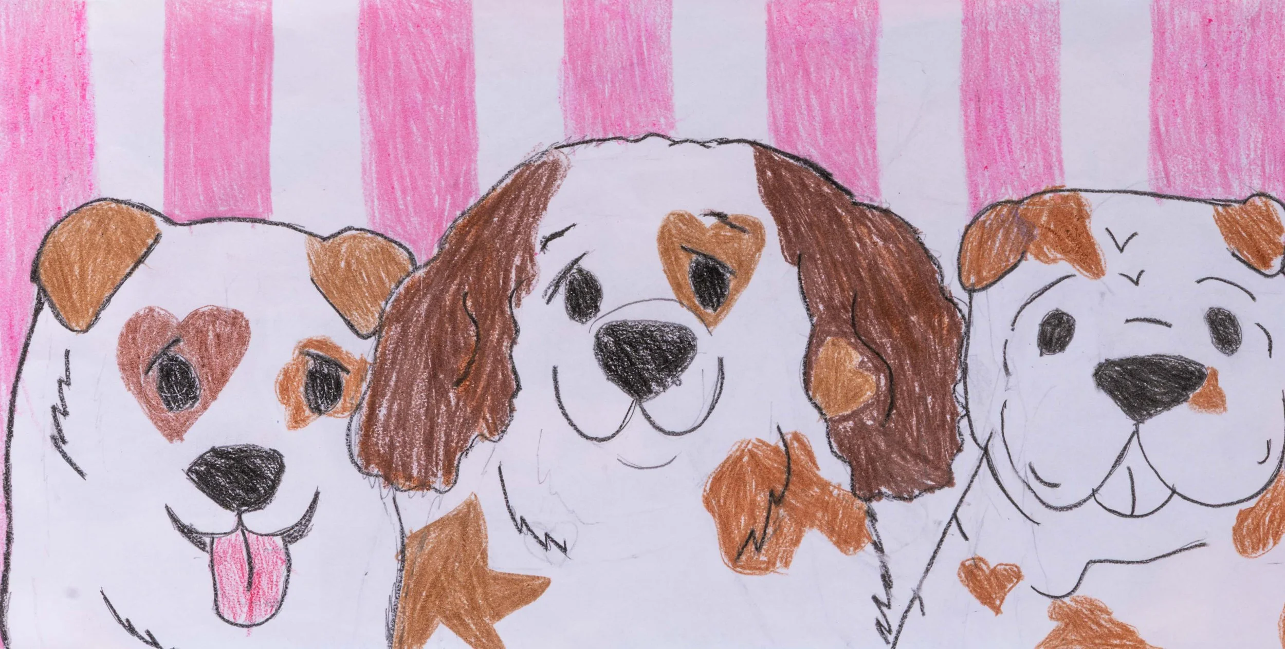<strong>Miranda Fernandez</strong><br>Bella Citta Elementary</br>
