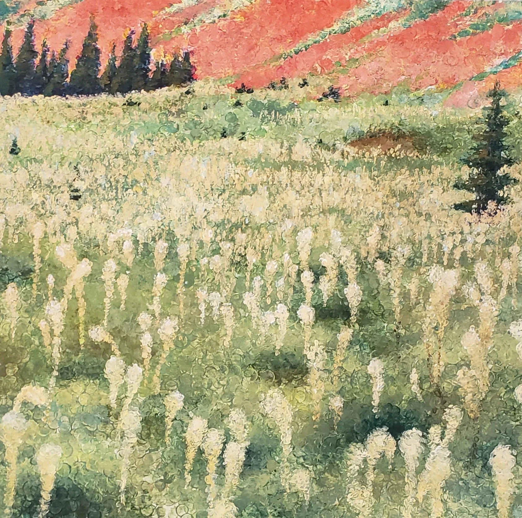 <strong>Le Vi Pham</strong><br>Counting Sheep</br>