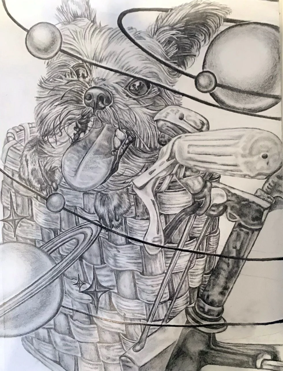 <strong>Willow Deterra</strong><br>Space Dog</br>