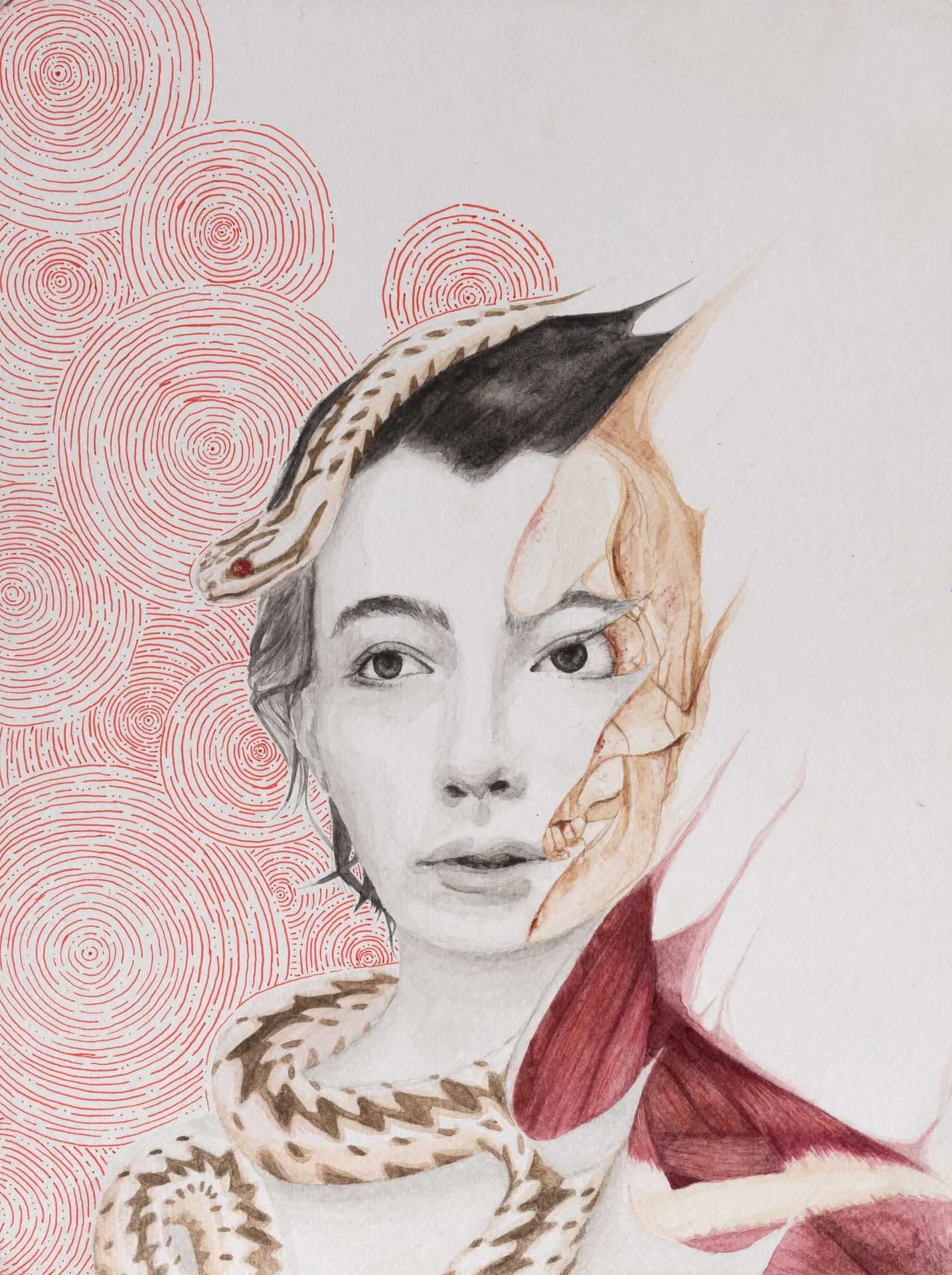 <strong>Sydney De Voe</strong><br>Vipera Berus</br>