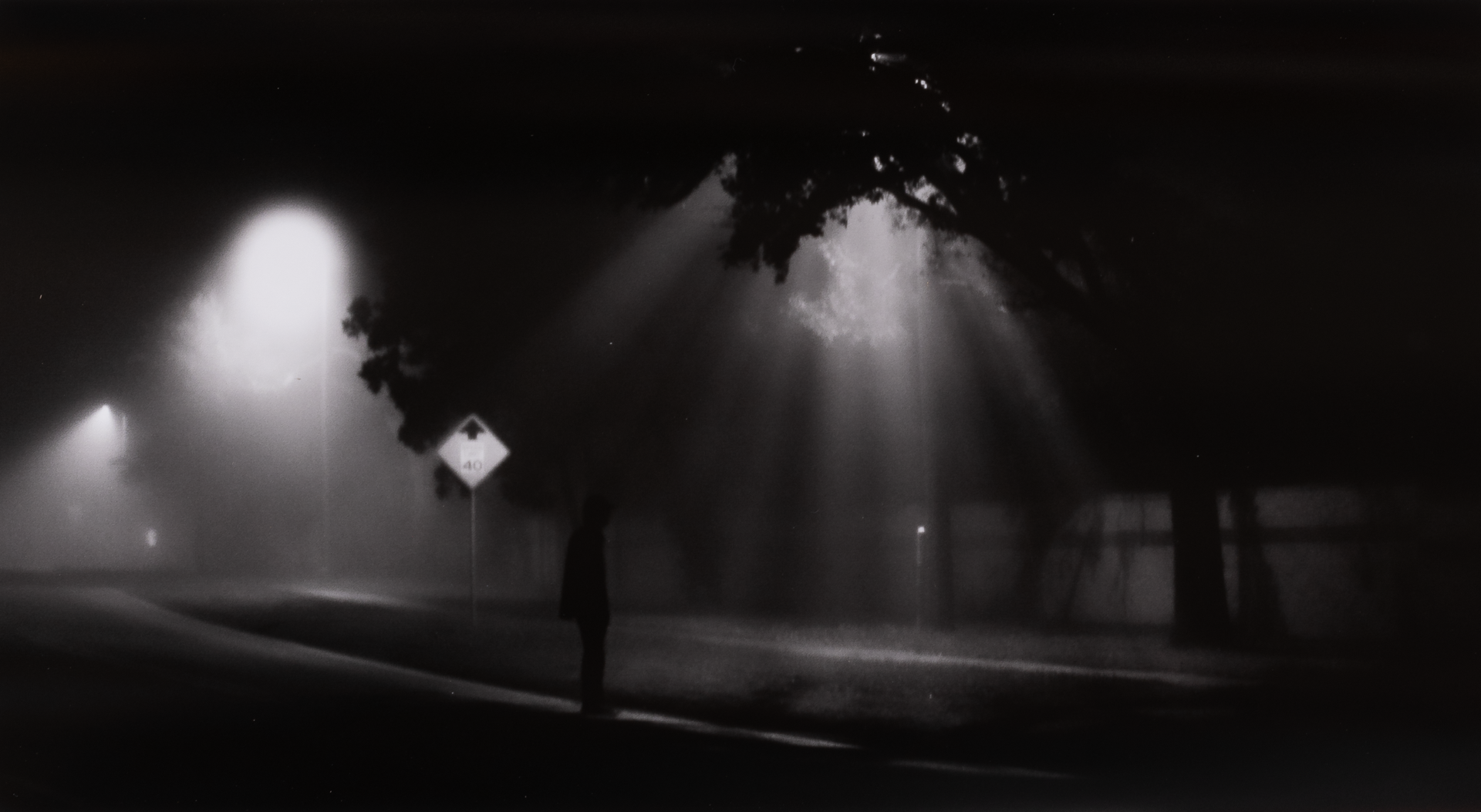 <strong>Eithan Lopez</strong><br>Lost in the Fog</br>