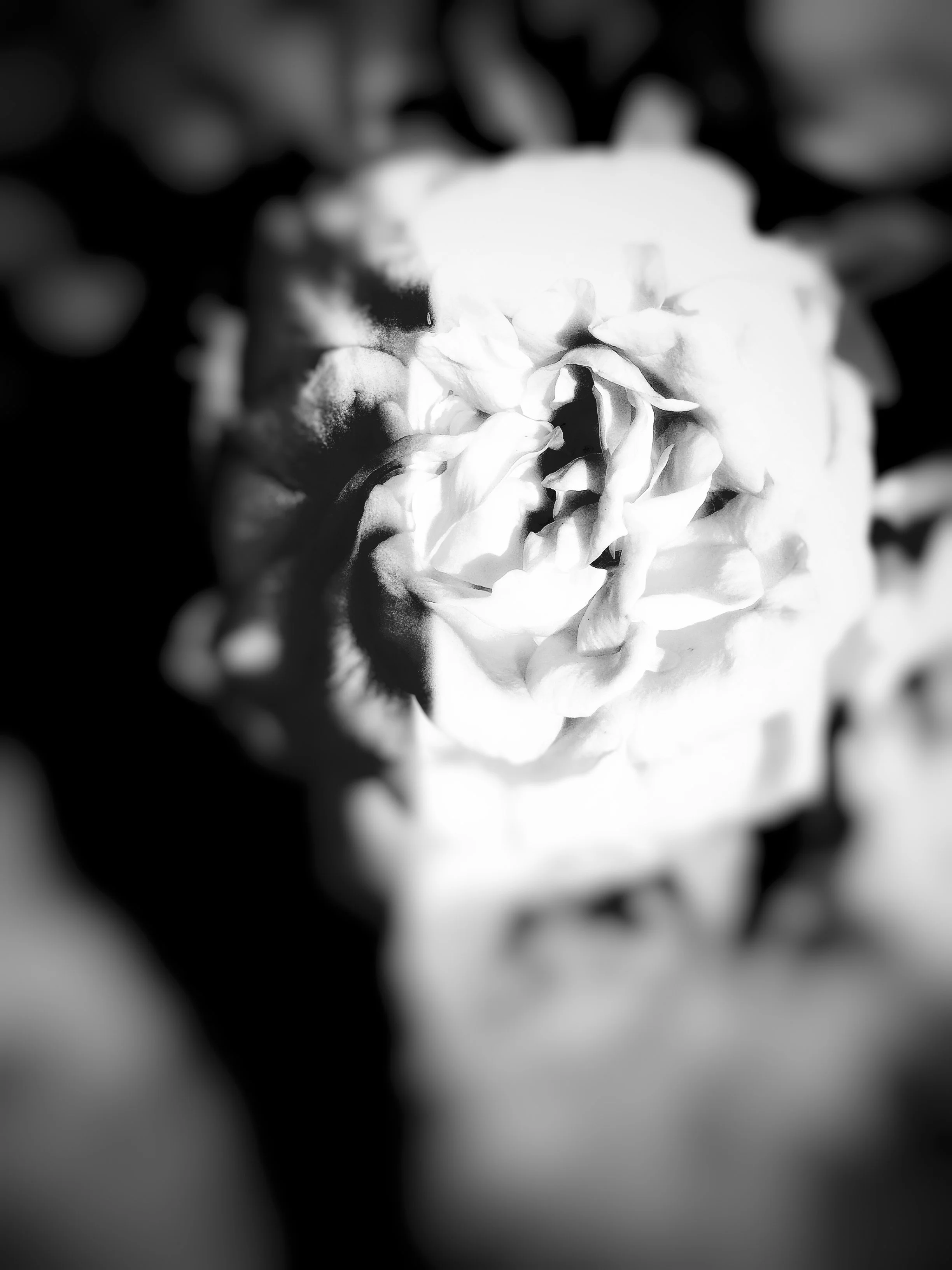 <strong>YC2022.8</strong><br>Mykah Johnson<br>Colorless Beauty</br>