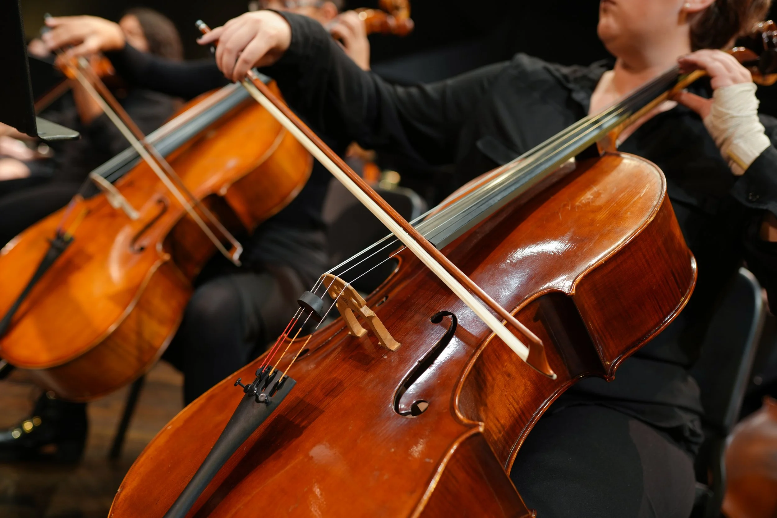 O King: A Concert Honoring the Legacy of Rev. Dr. Martin Luther King