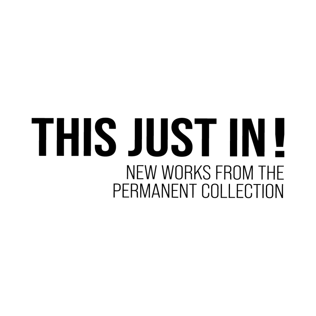 This Just In! New Works From the Permanent Collection