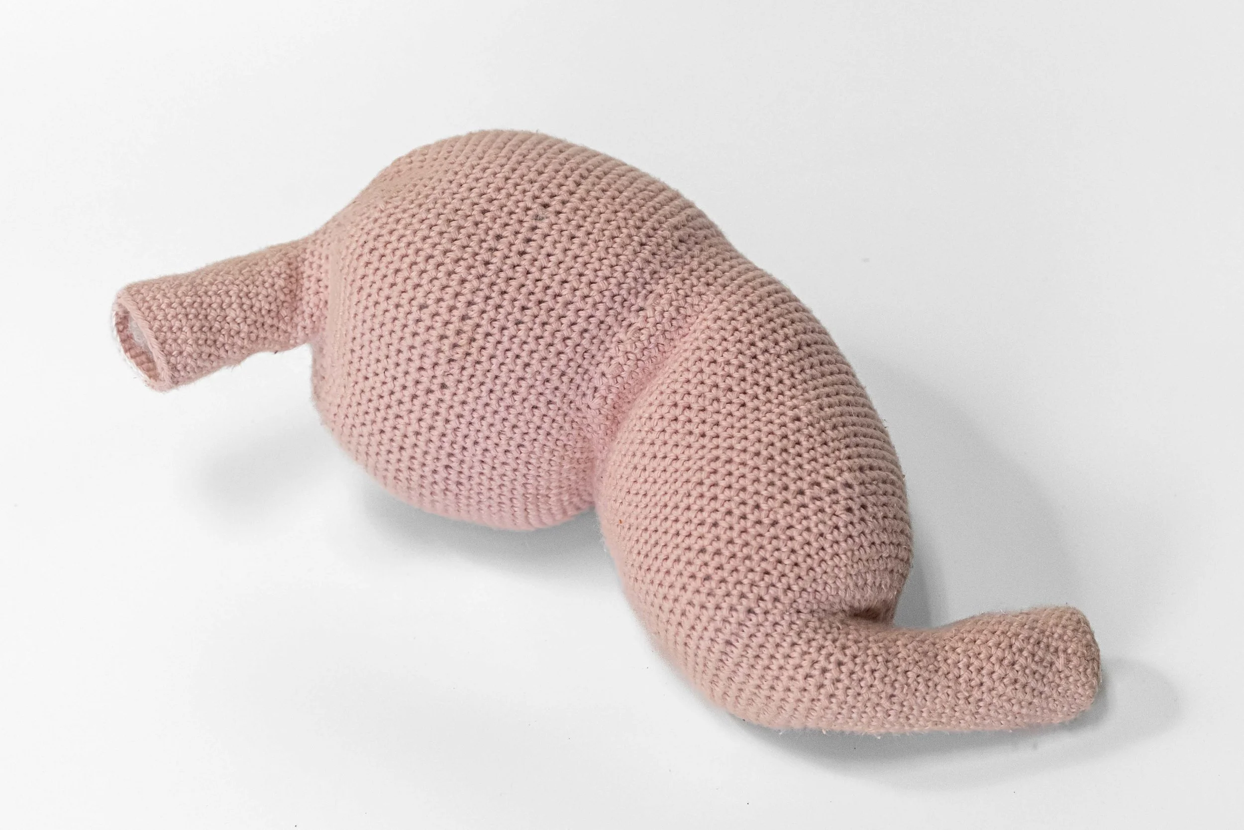 <strong>Jacob Brown</strong><br>Stuffed Stomach</br>