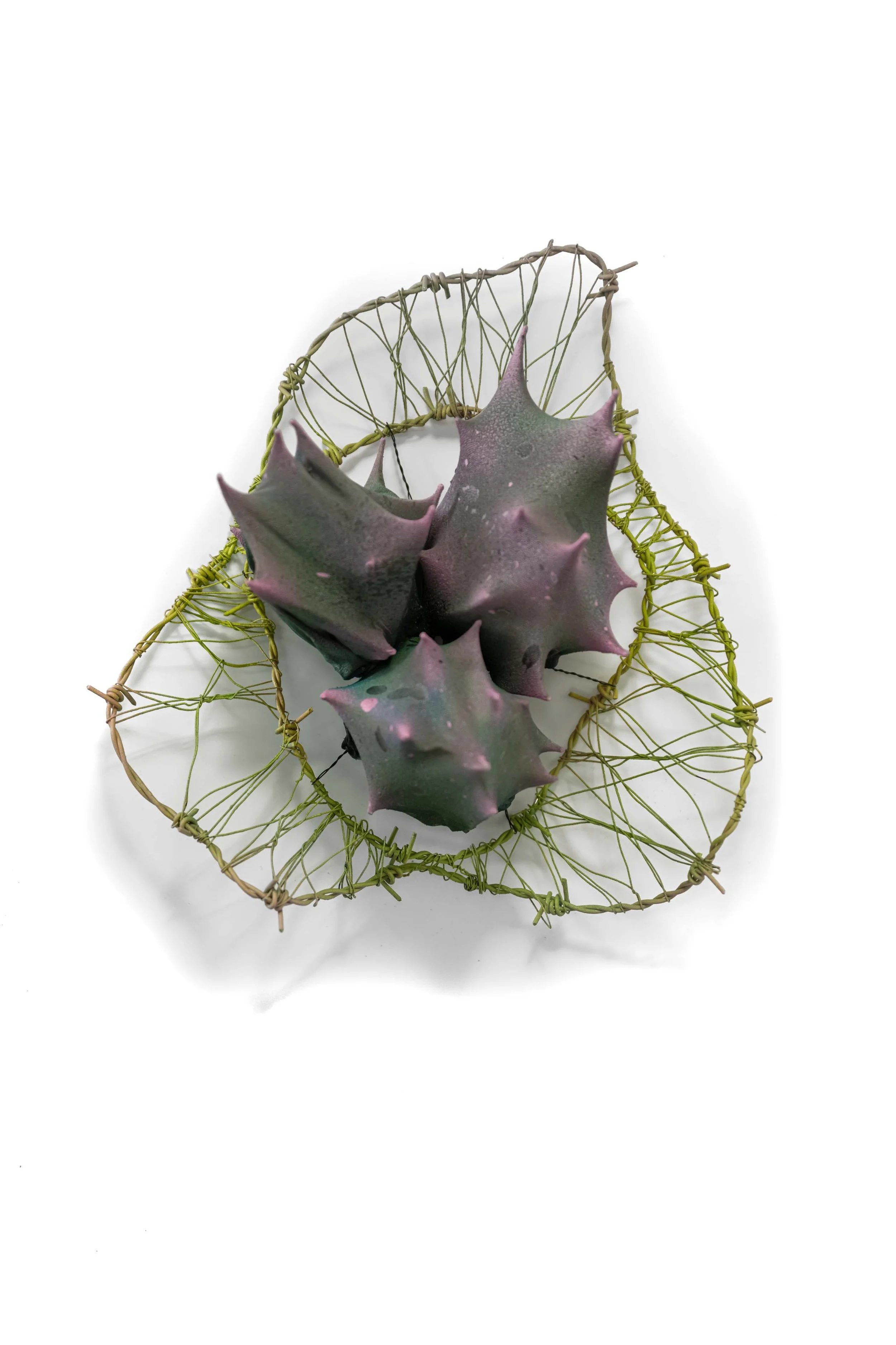 <strong>Sydney De Voe</strong><br>The Thing</br>