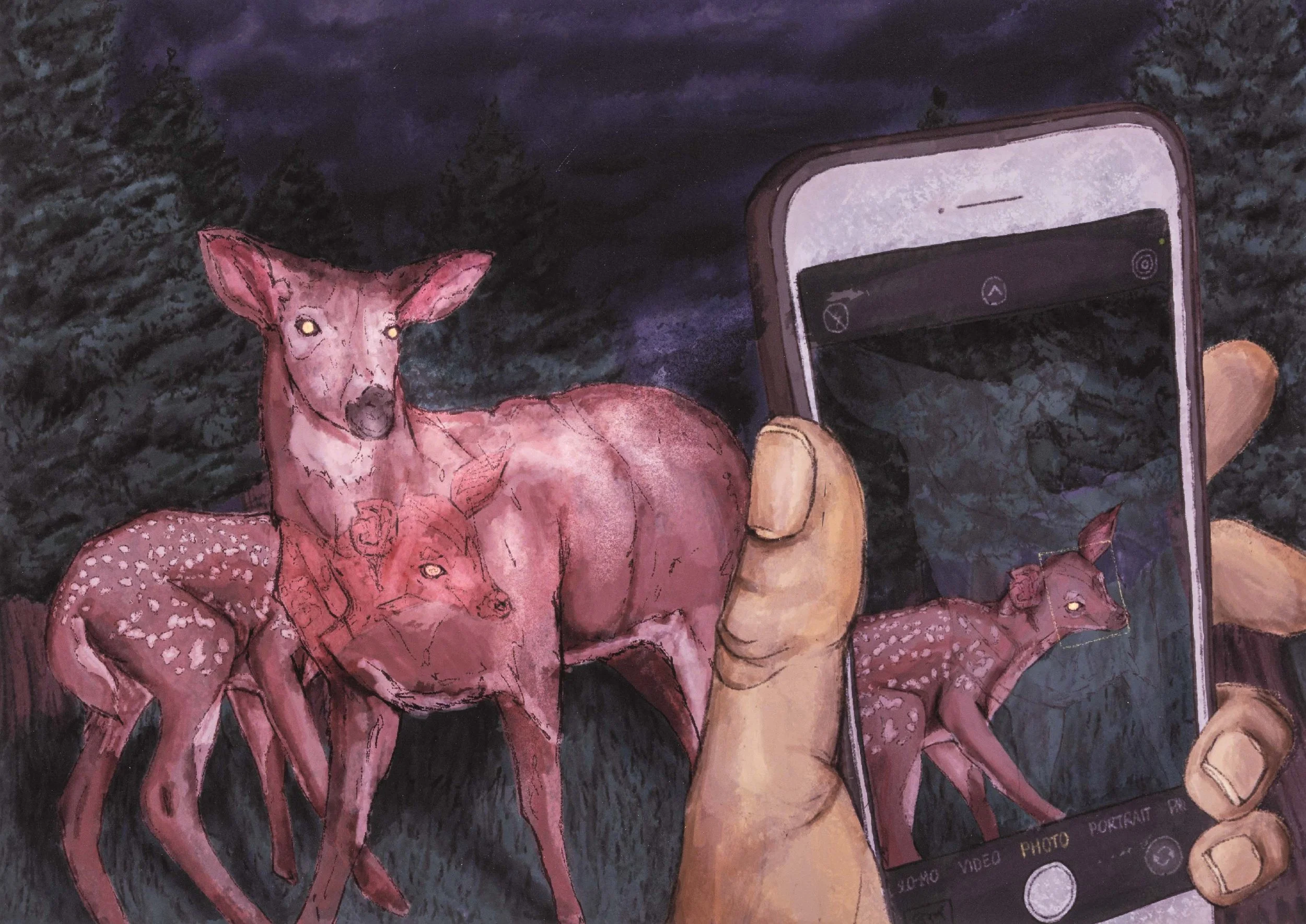 <strong>Rye Rosado</strong><br>Deer in Headlights</br>