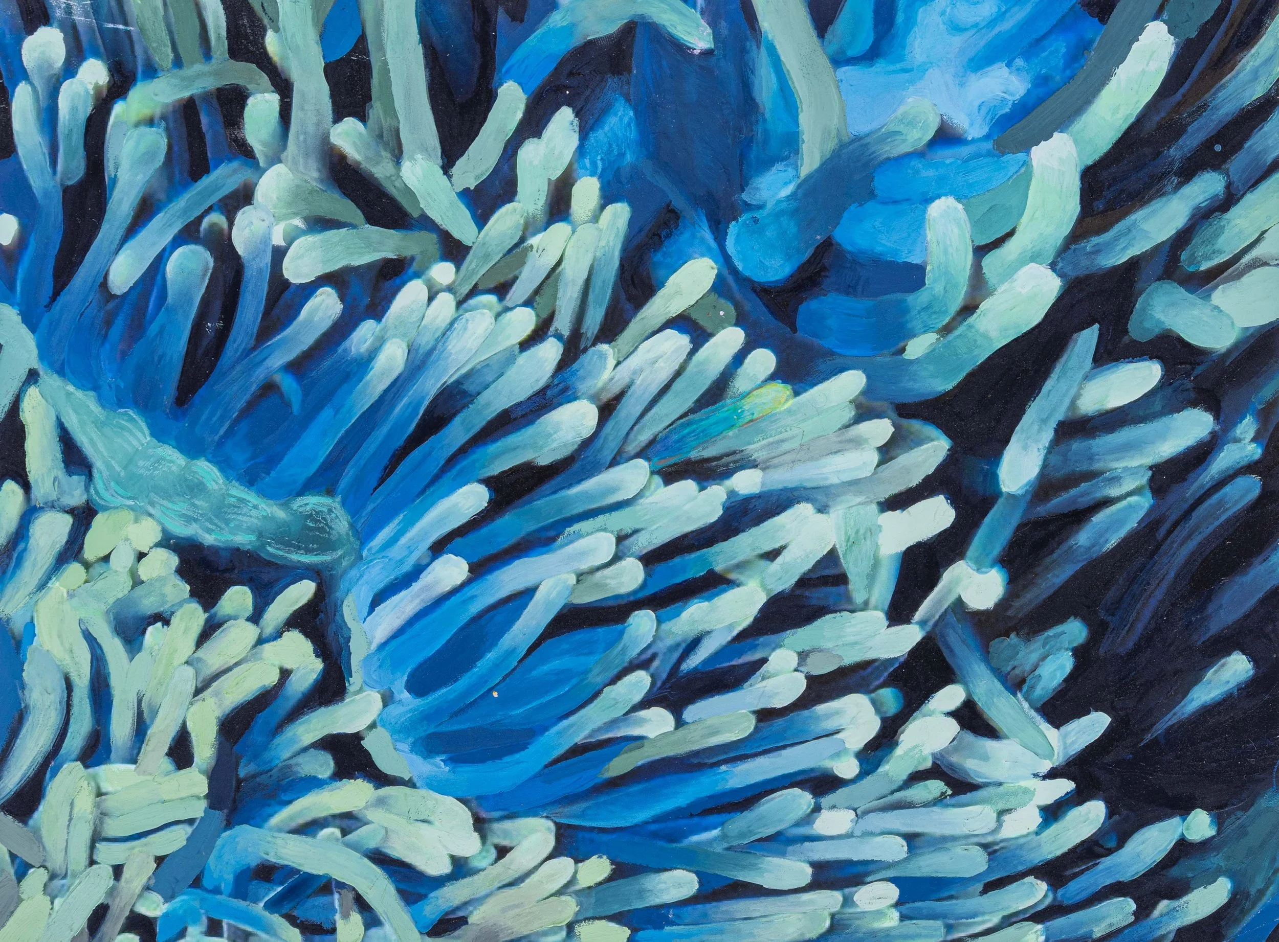 <strong>Annemarie Norman</strong><br>Enter the Coral</br>