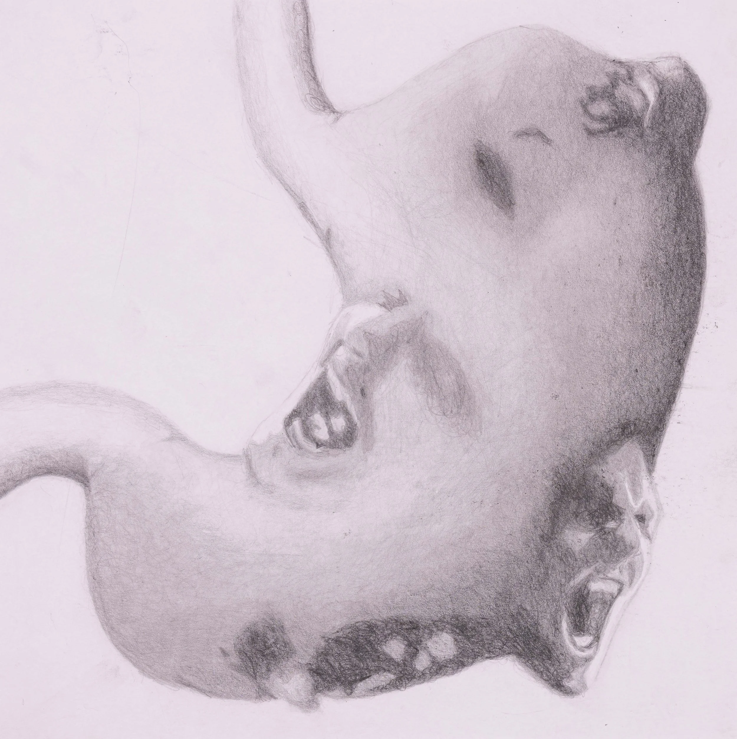 <strong>Jacob Brown</strong><br>Hangery</br>