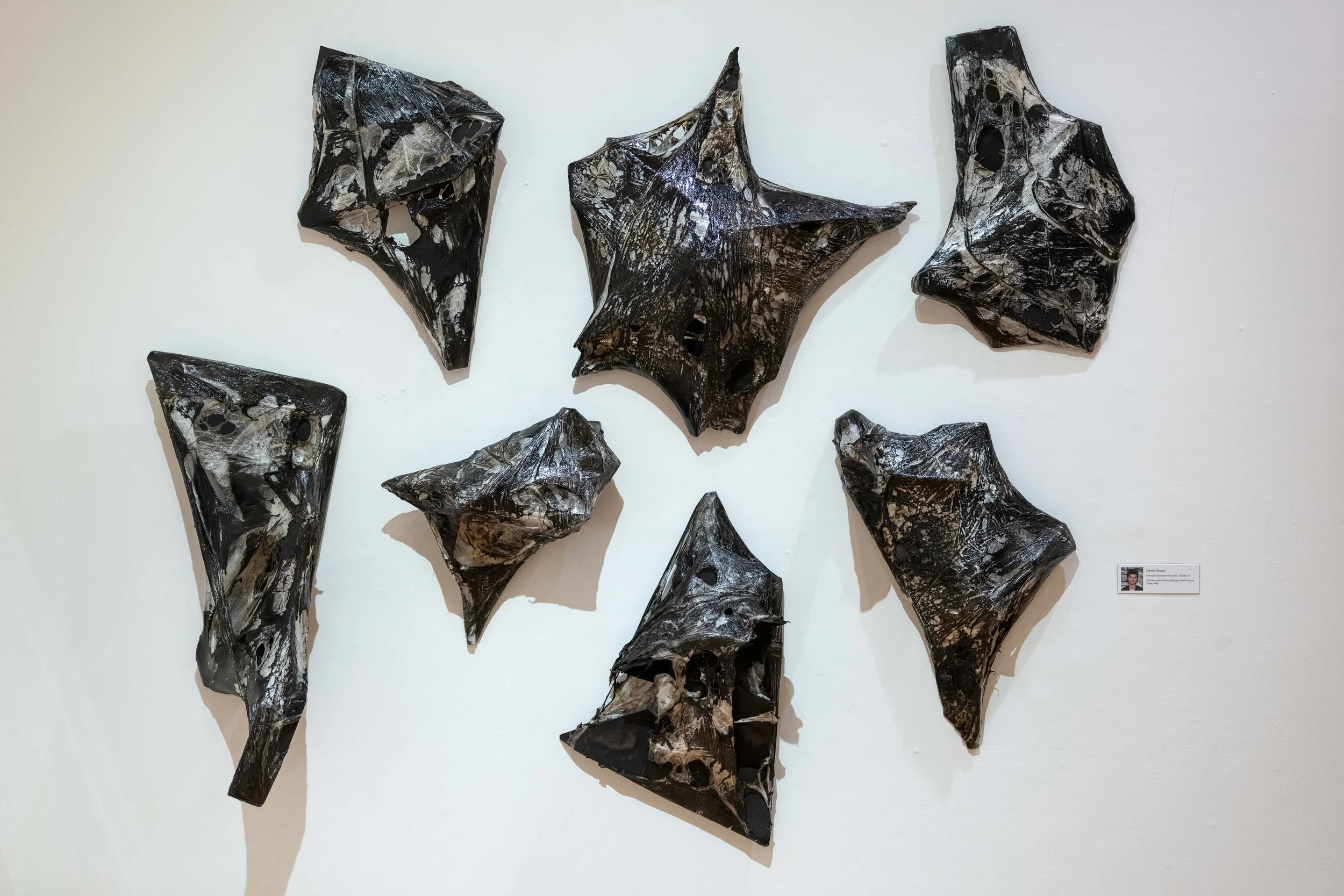 <strong>Daniel Sharik</strong><br>Unwelcomed</br>