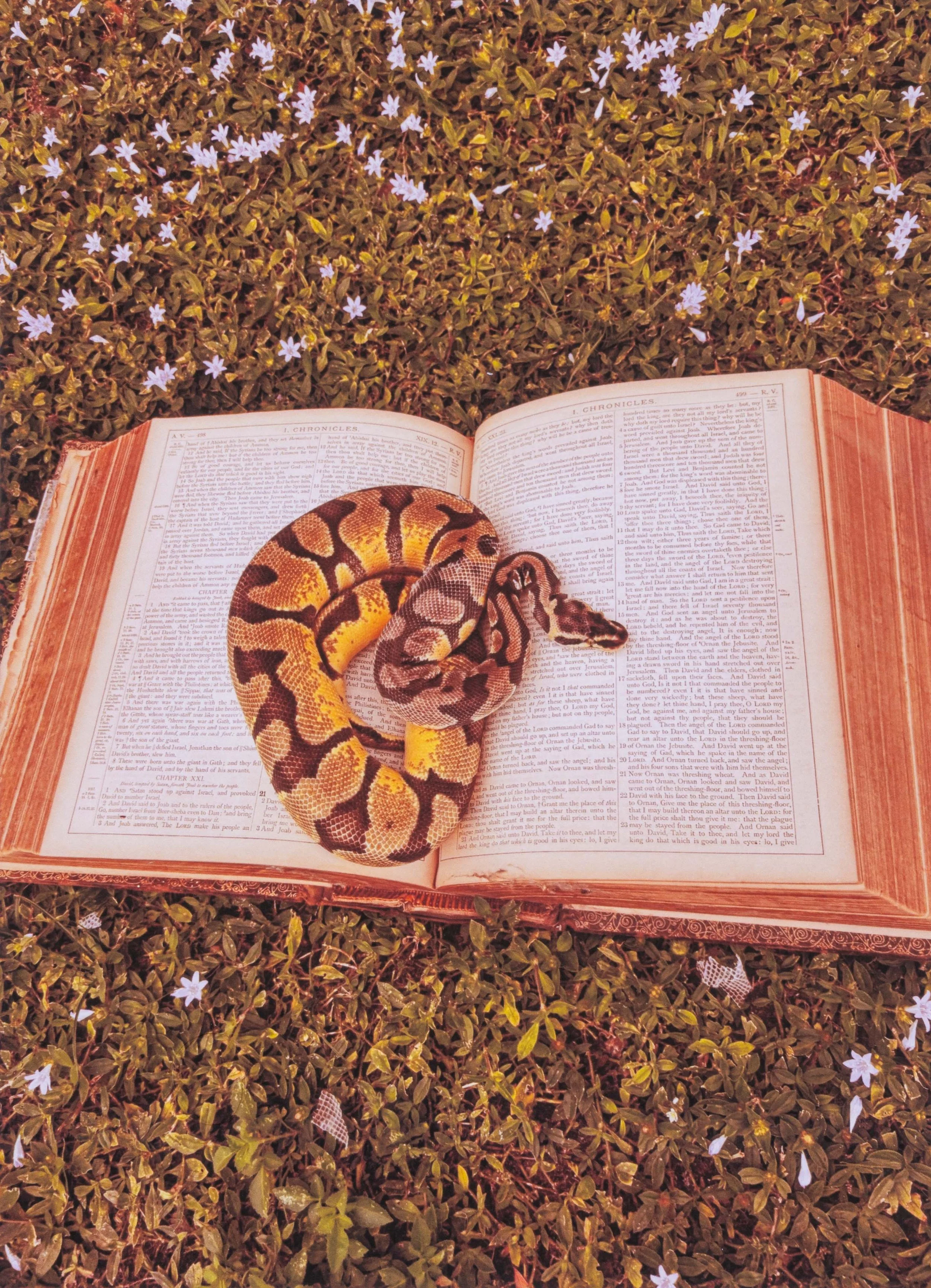 Student Gallery-173-Edit 4K.jpg