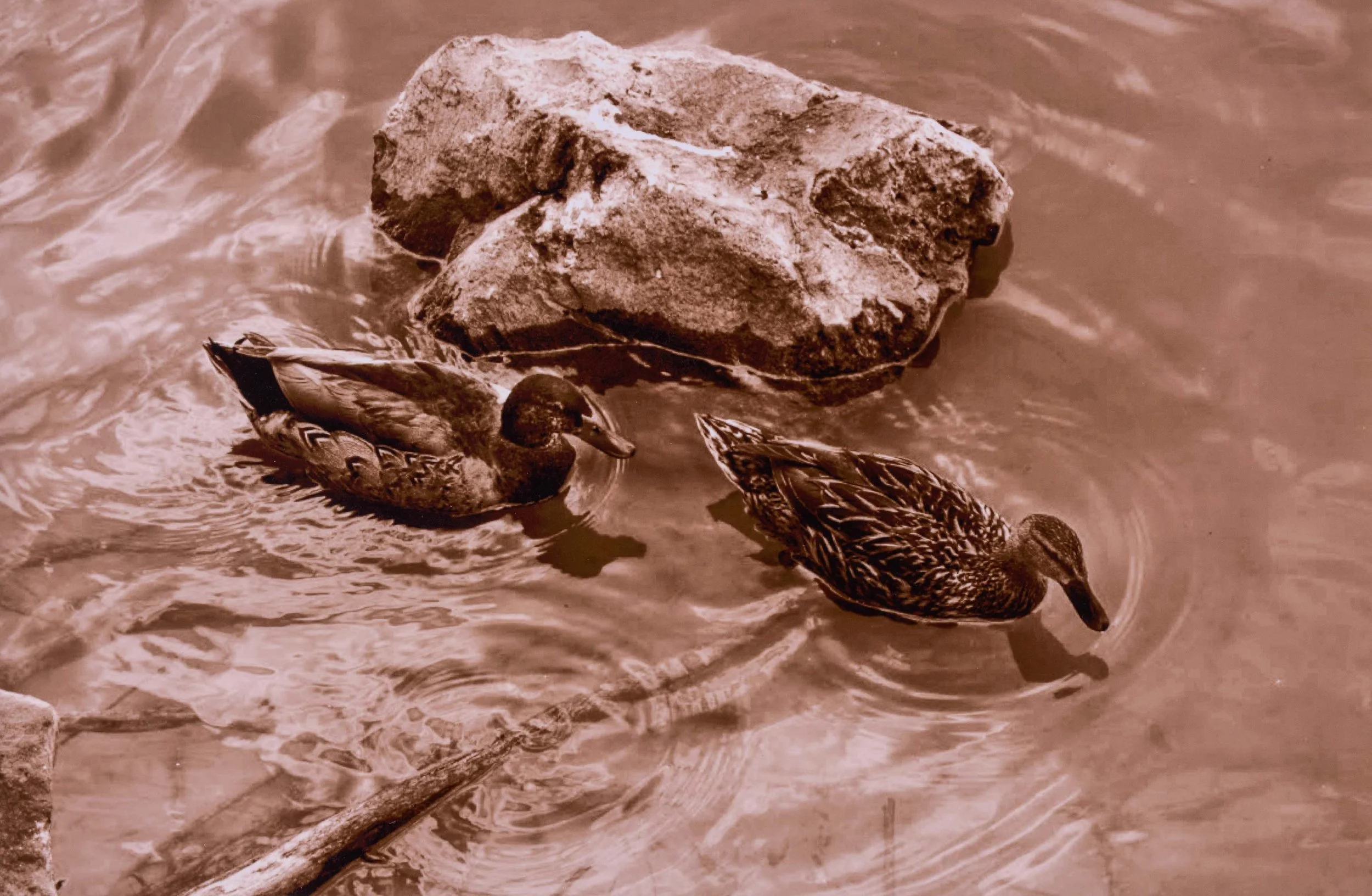 Student Gallery-180-Edit 4K.jpg