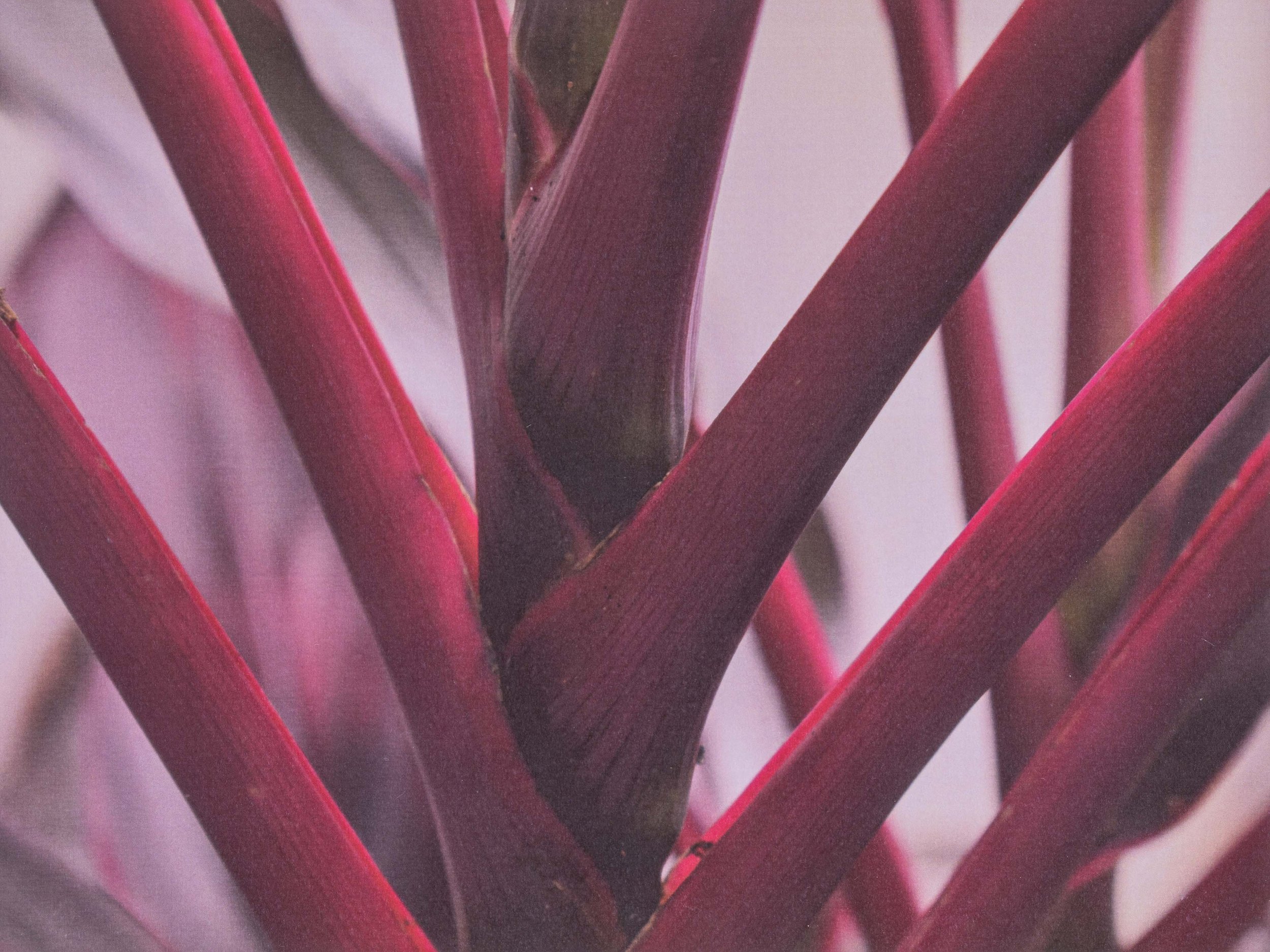 Student Gallery-193-Edit 4K.jpg