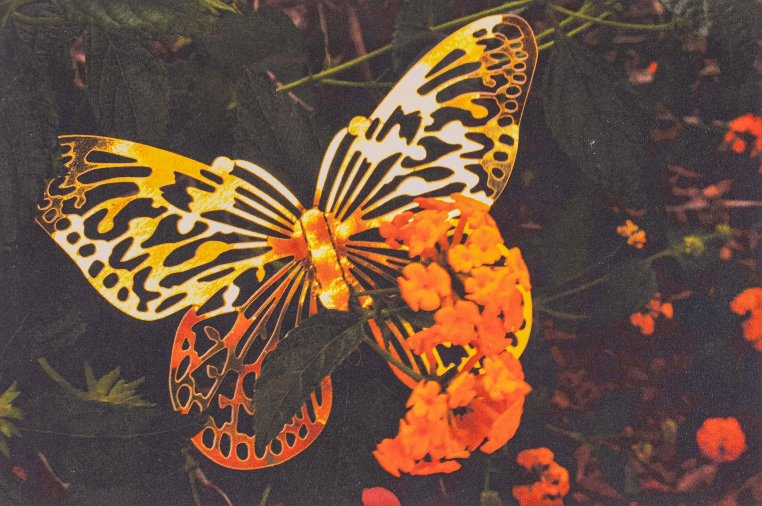 Student Gallery-196-Edit 4K.jpg