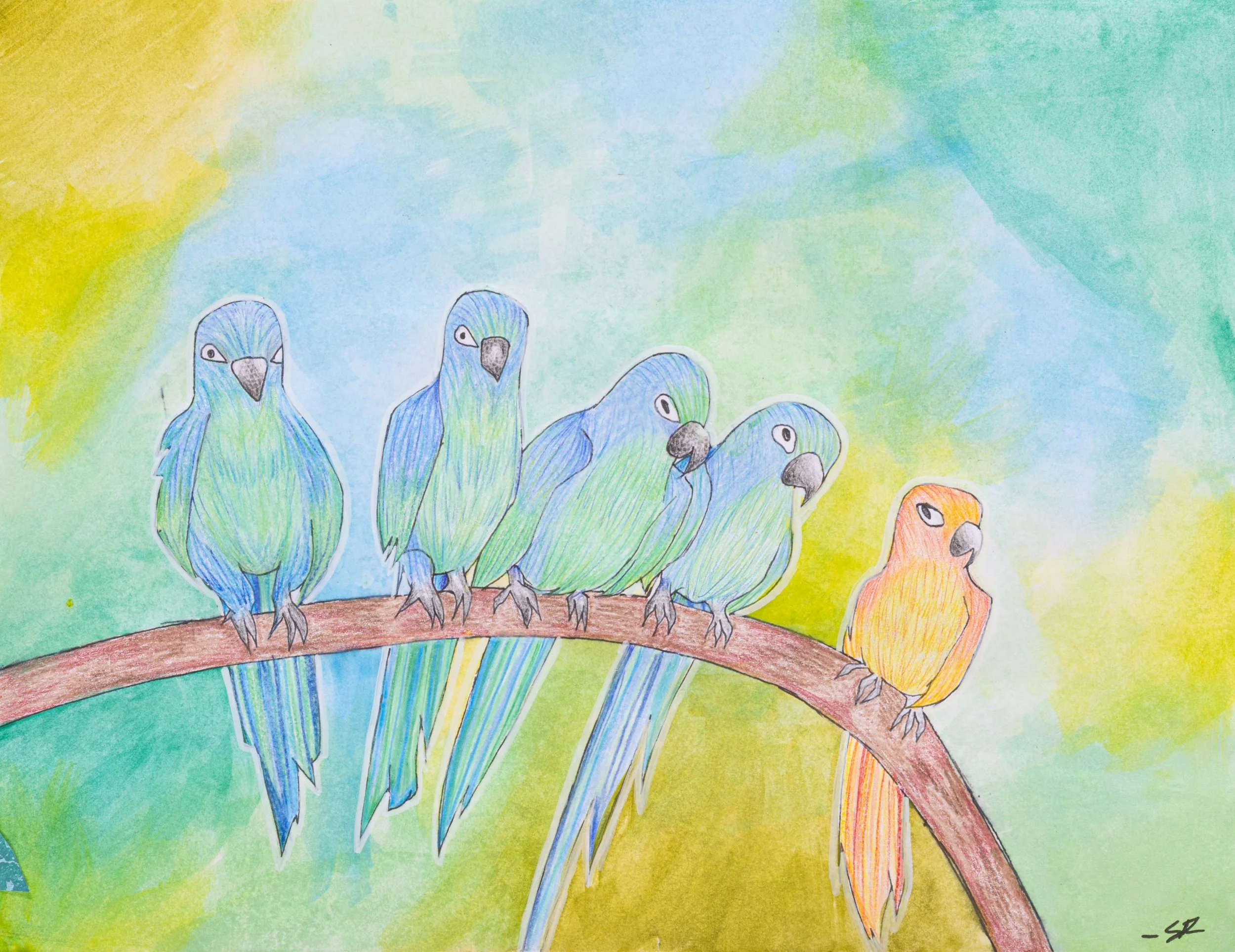 Student Gallery-225-Edit 4K.jpg