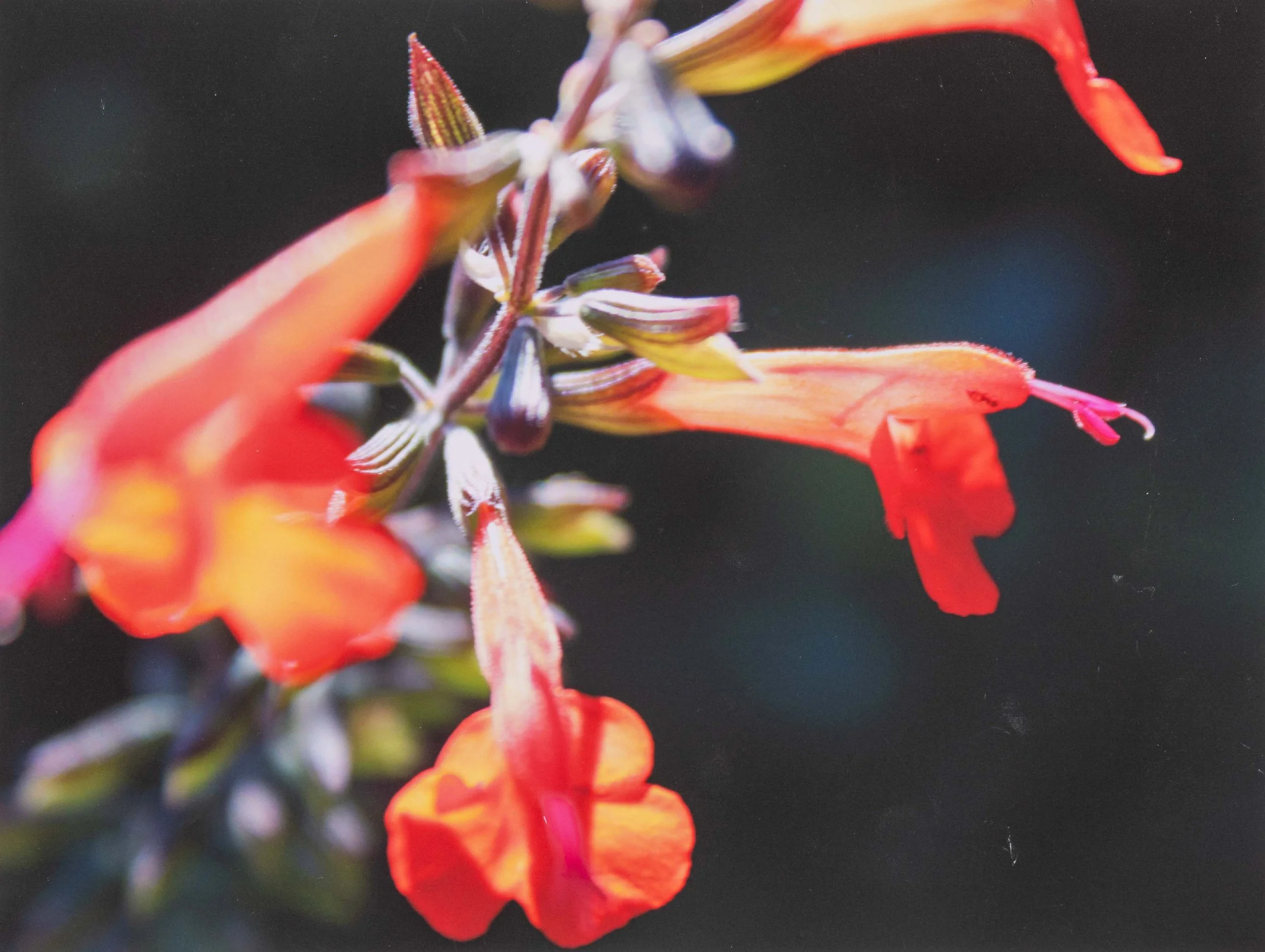 Student Gallery-177-Edit 4K.jpg