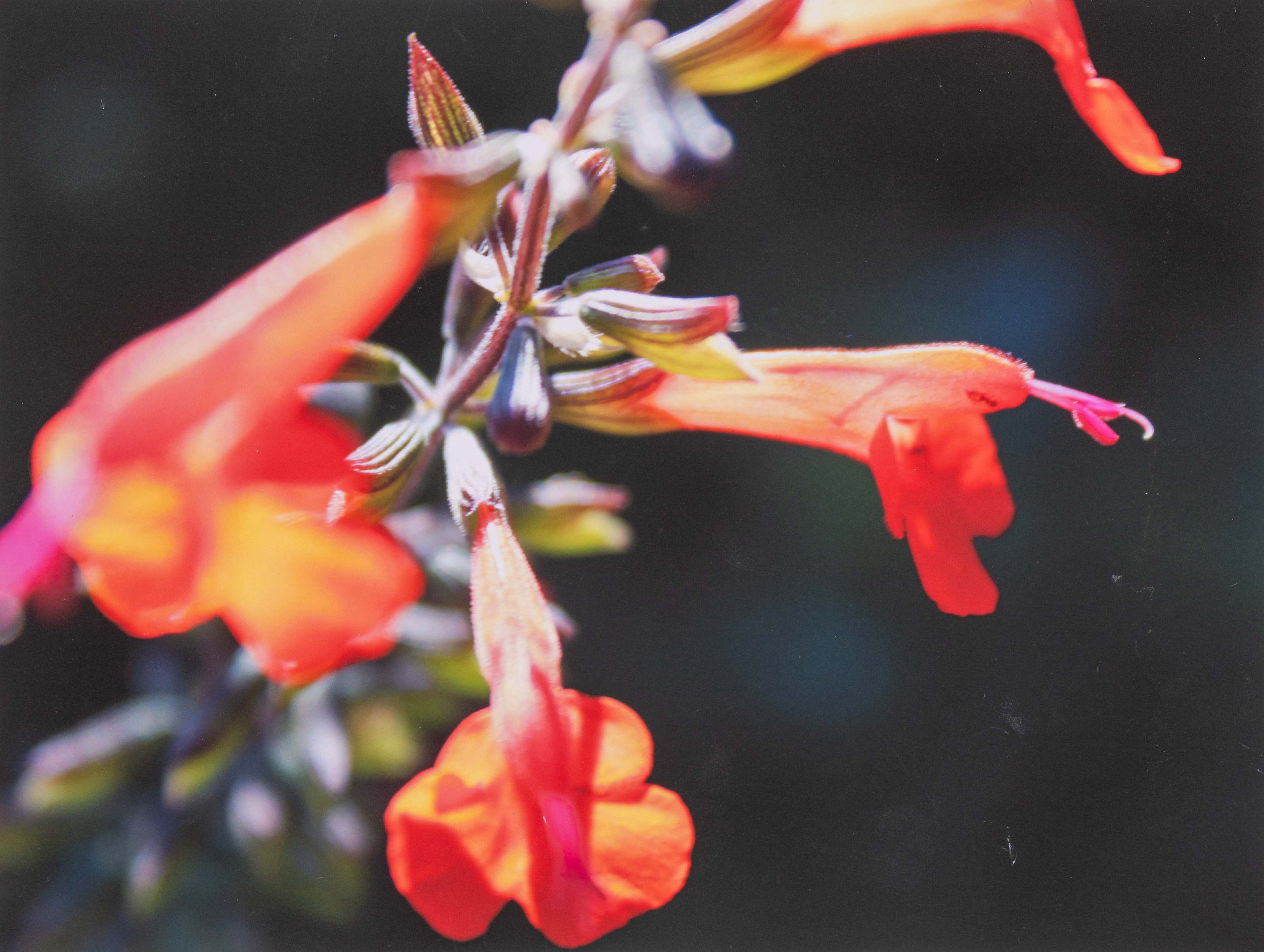 Student Gallery-177-Edit 4K.jpg