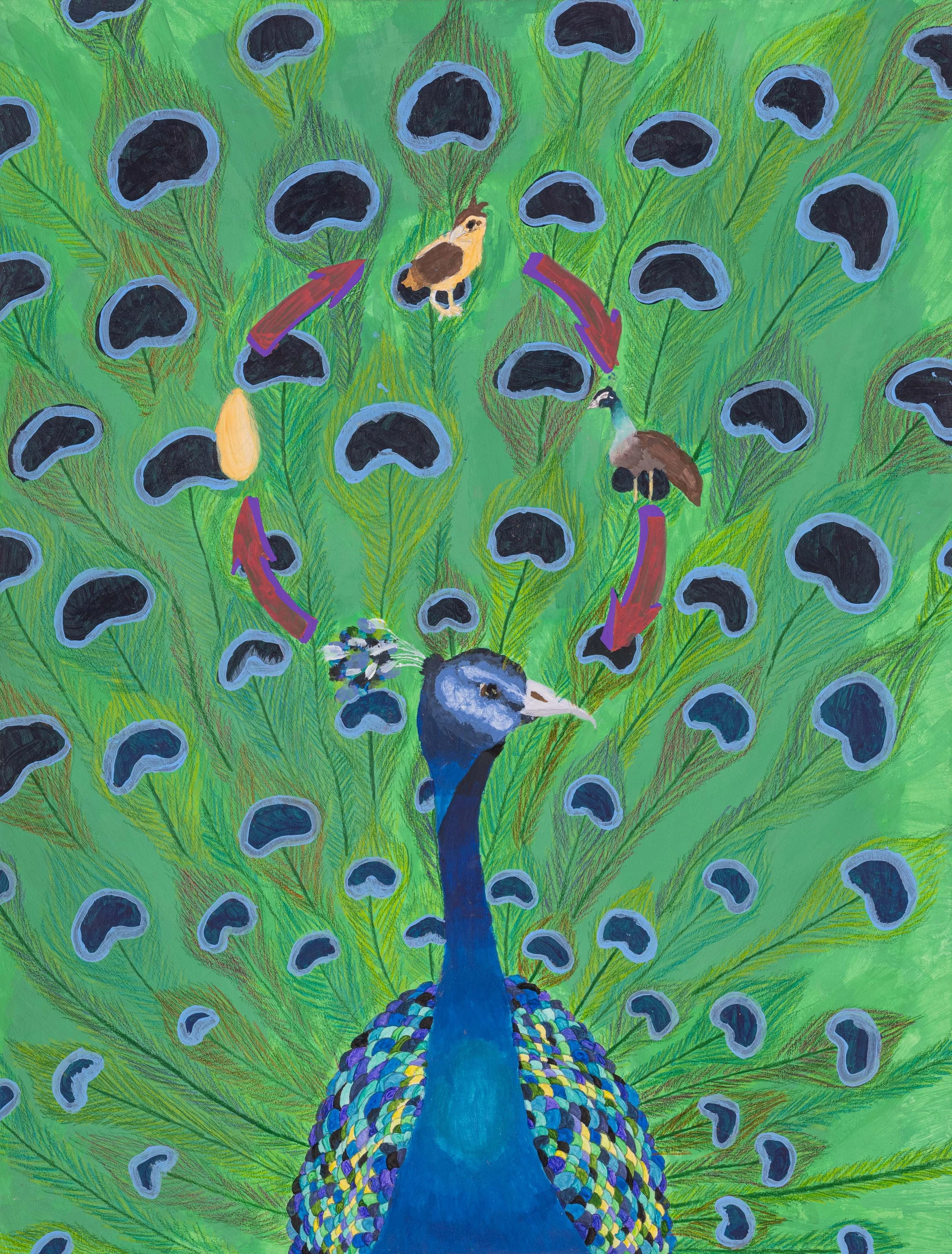 Student Gallery-275-Edit 4K.jpg