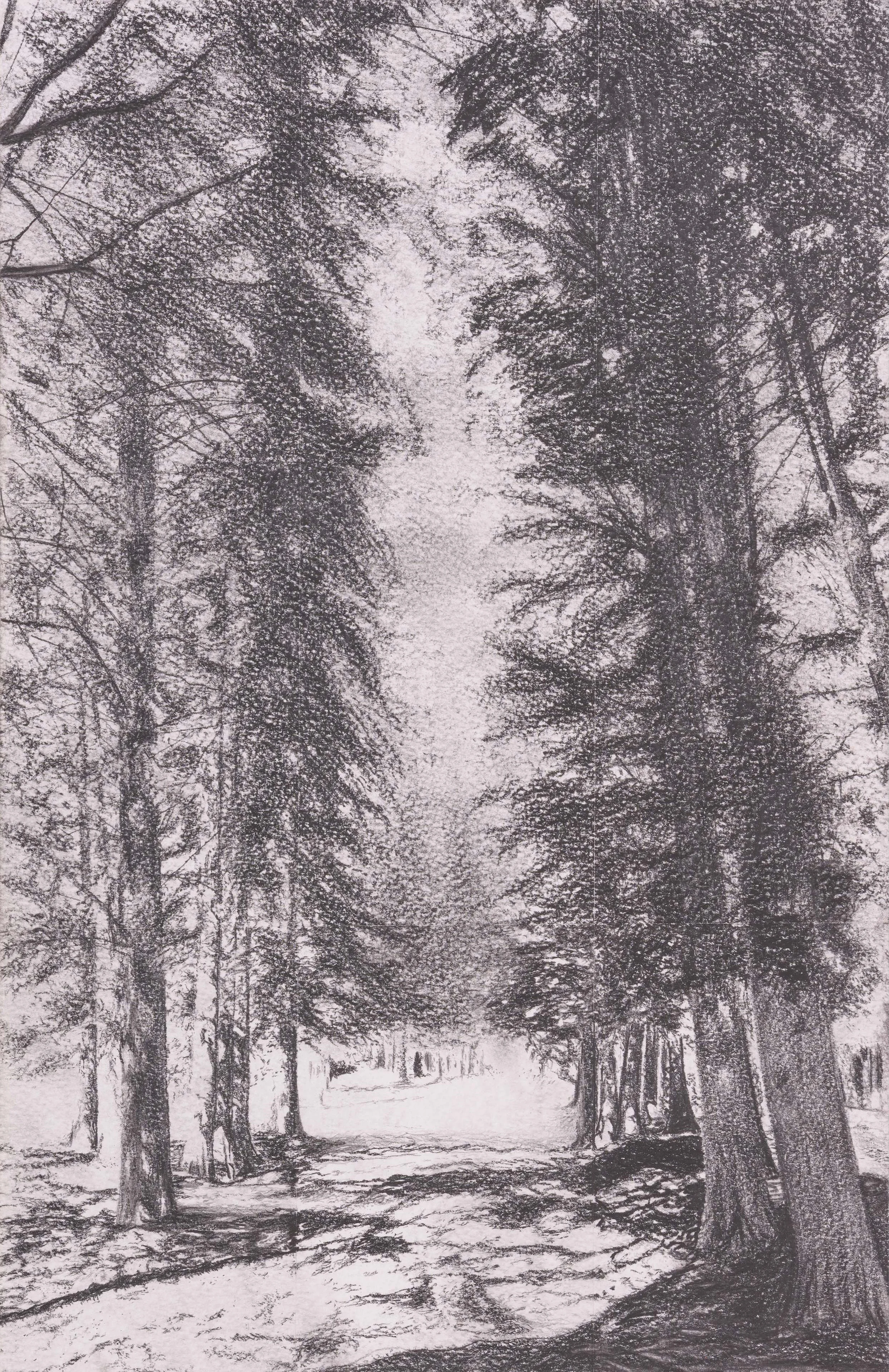 Student Gallery-267-Edit 4K.jpg