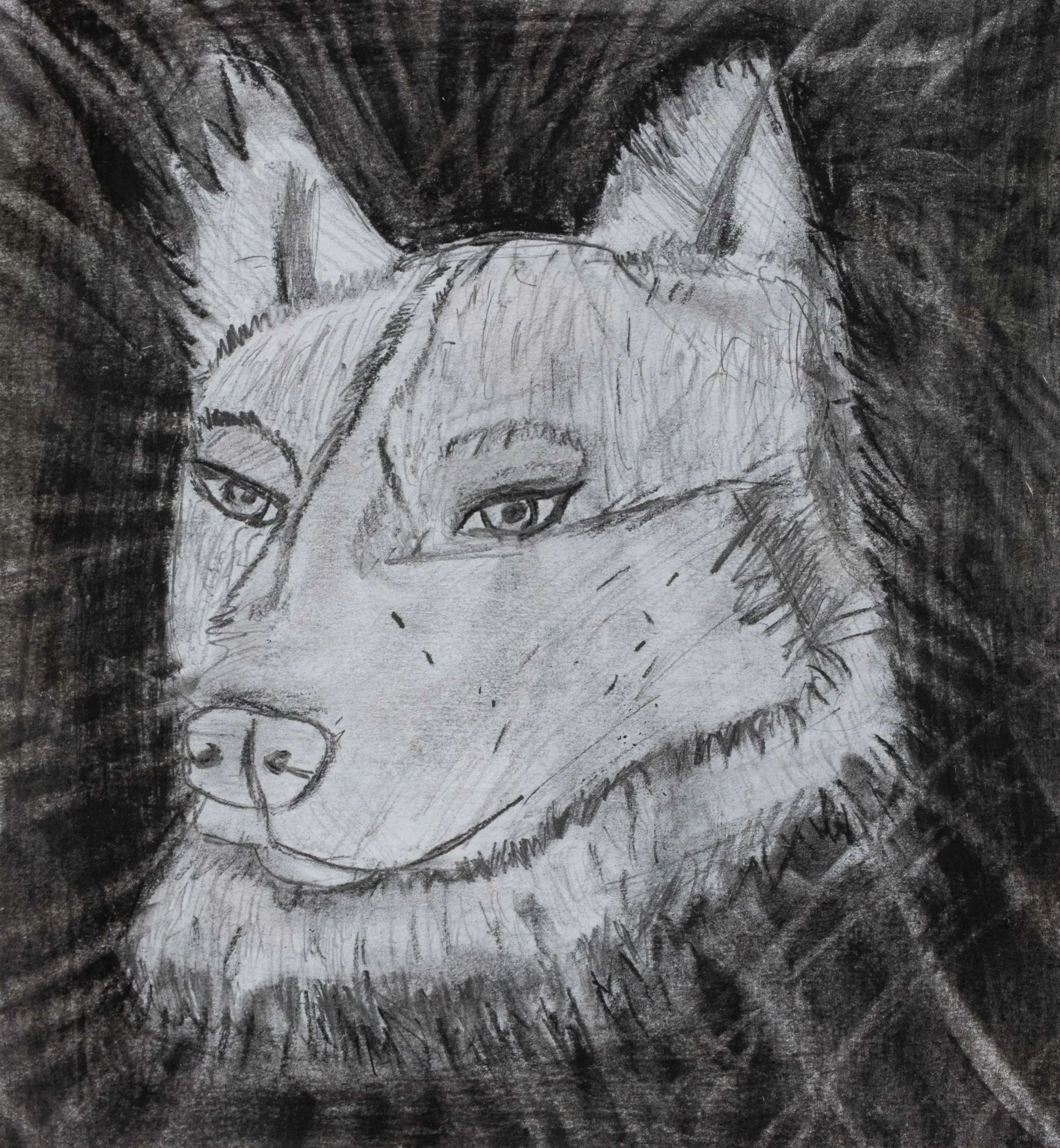 Student Gallery-317-Edit 4K.jpg