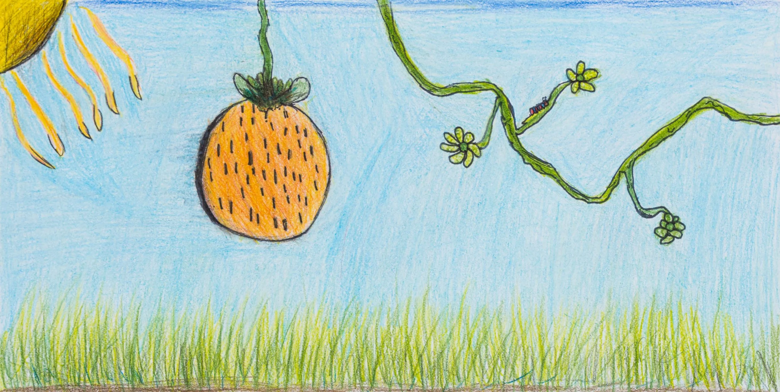 Student Gallery-330-Edit 4K.jpg