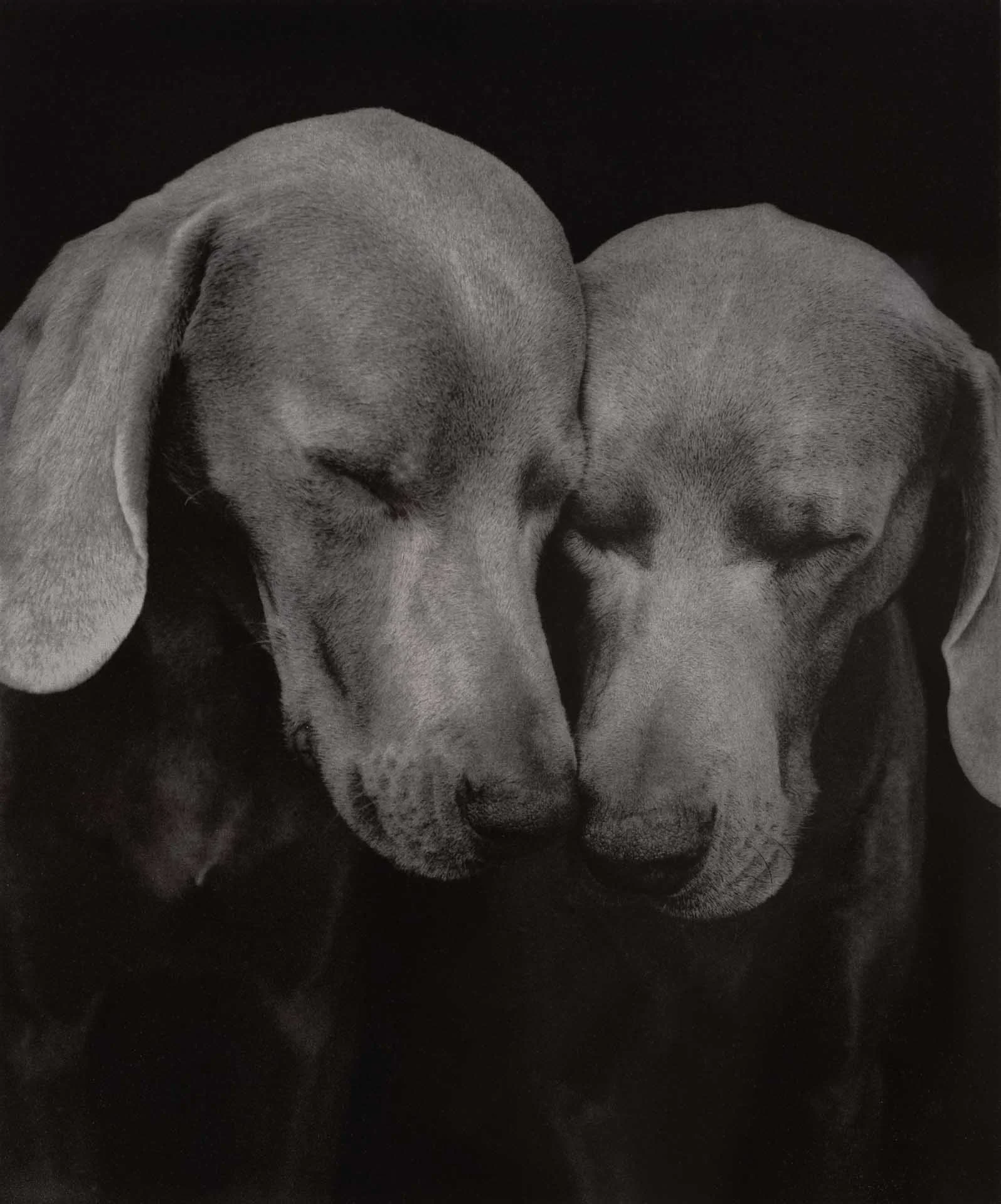 Here &amp; Now: FSC Student Perspectives on the Permanent Collection