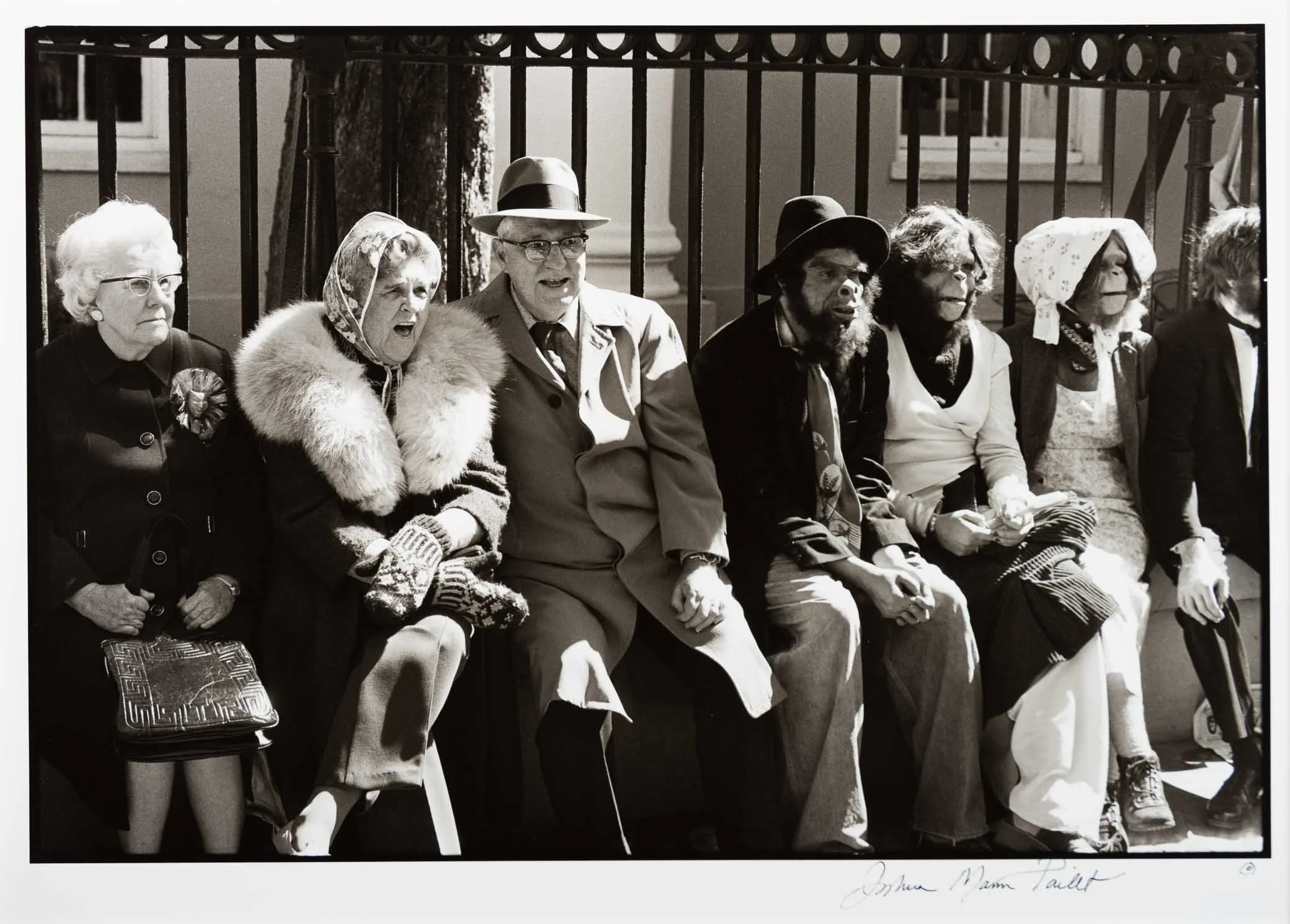 Masters of Light: Innovators of the Photographic Art Form