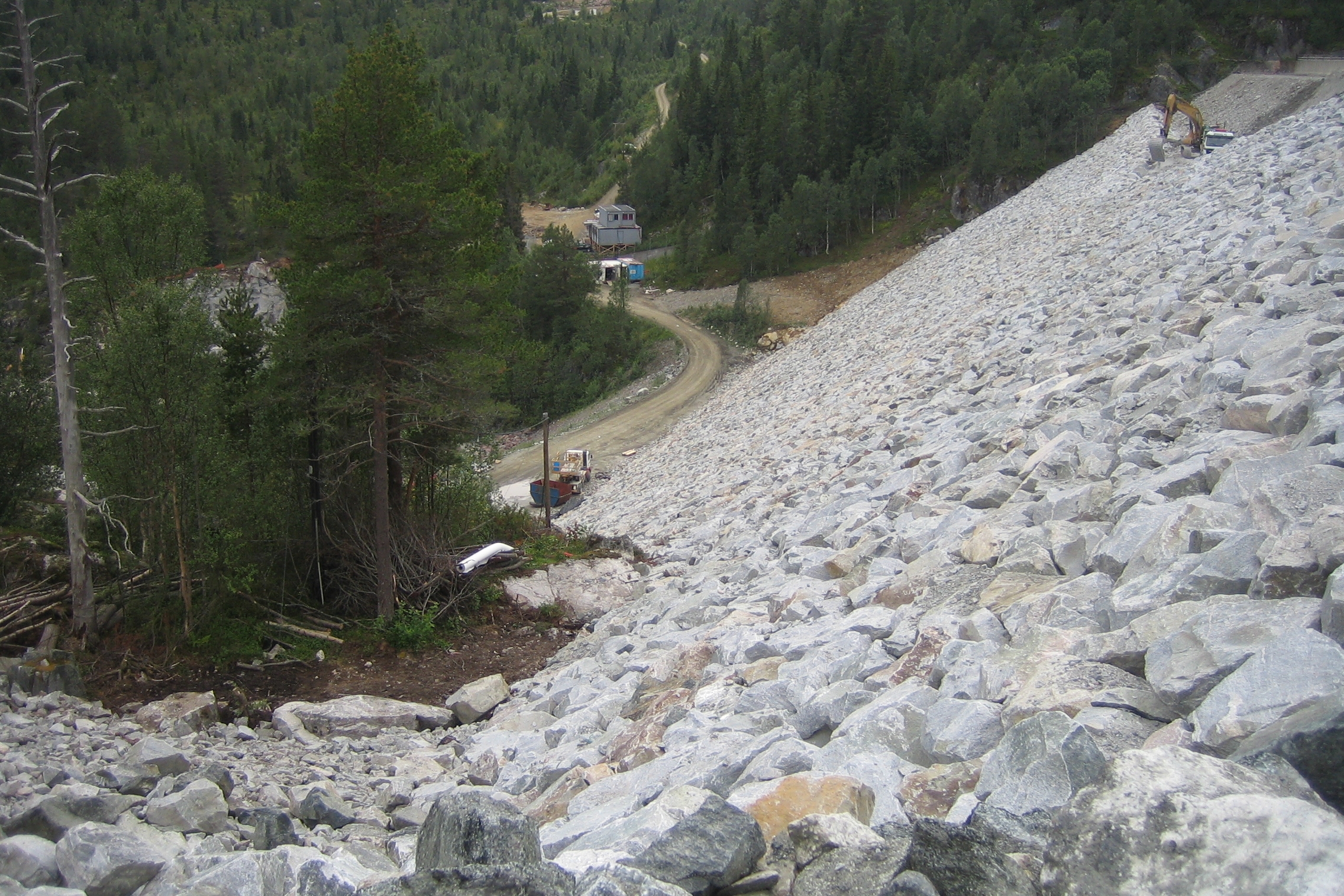   Dam Venemo - overgang mellom plastra damside og naturleg sideterreng skal vera presis  