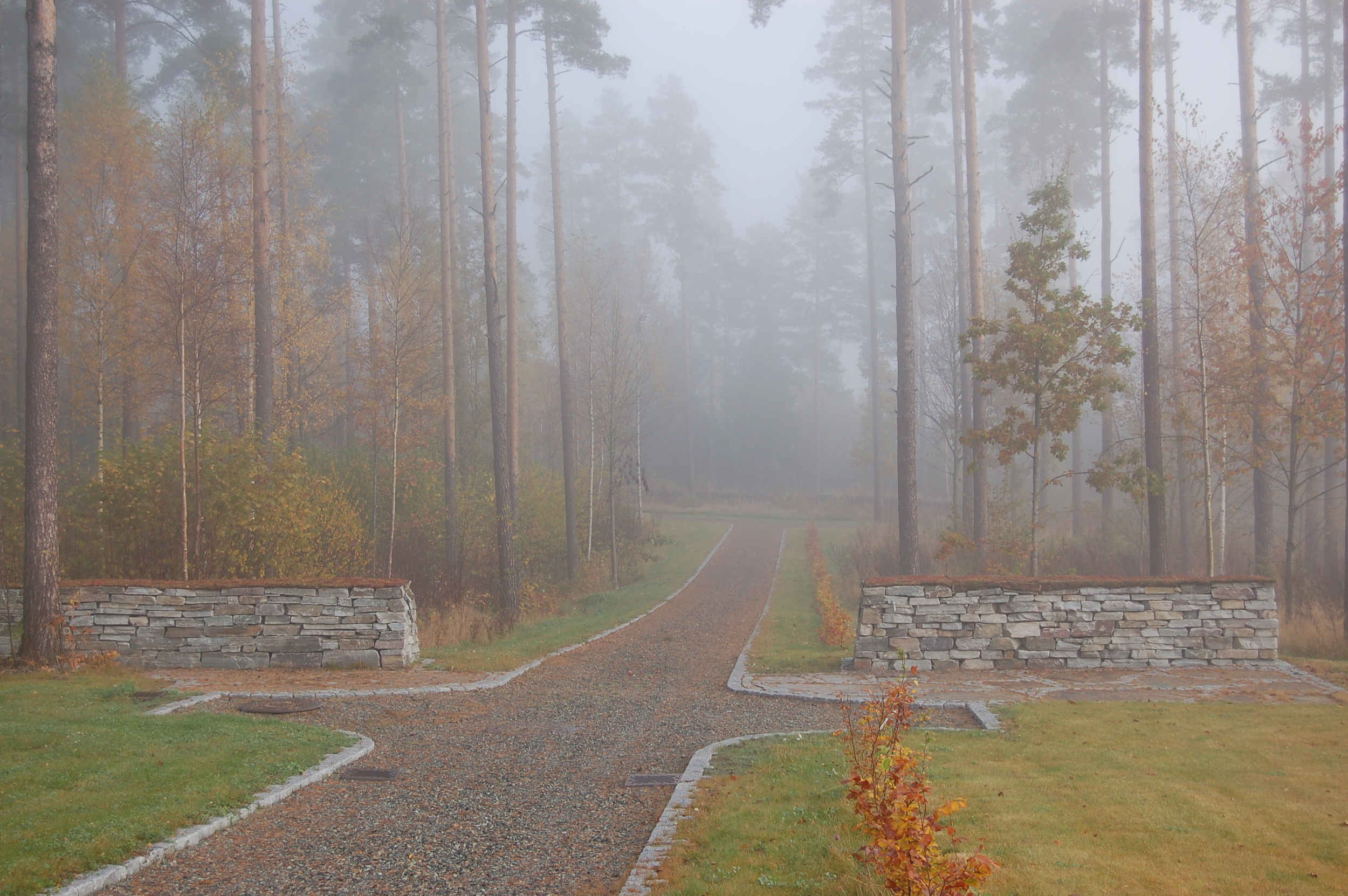   Furuskogen preger kirkegården - Eidanger kirkegård, Porsgrunn  